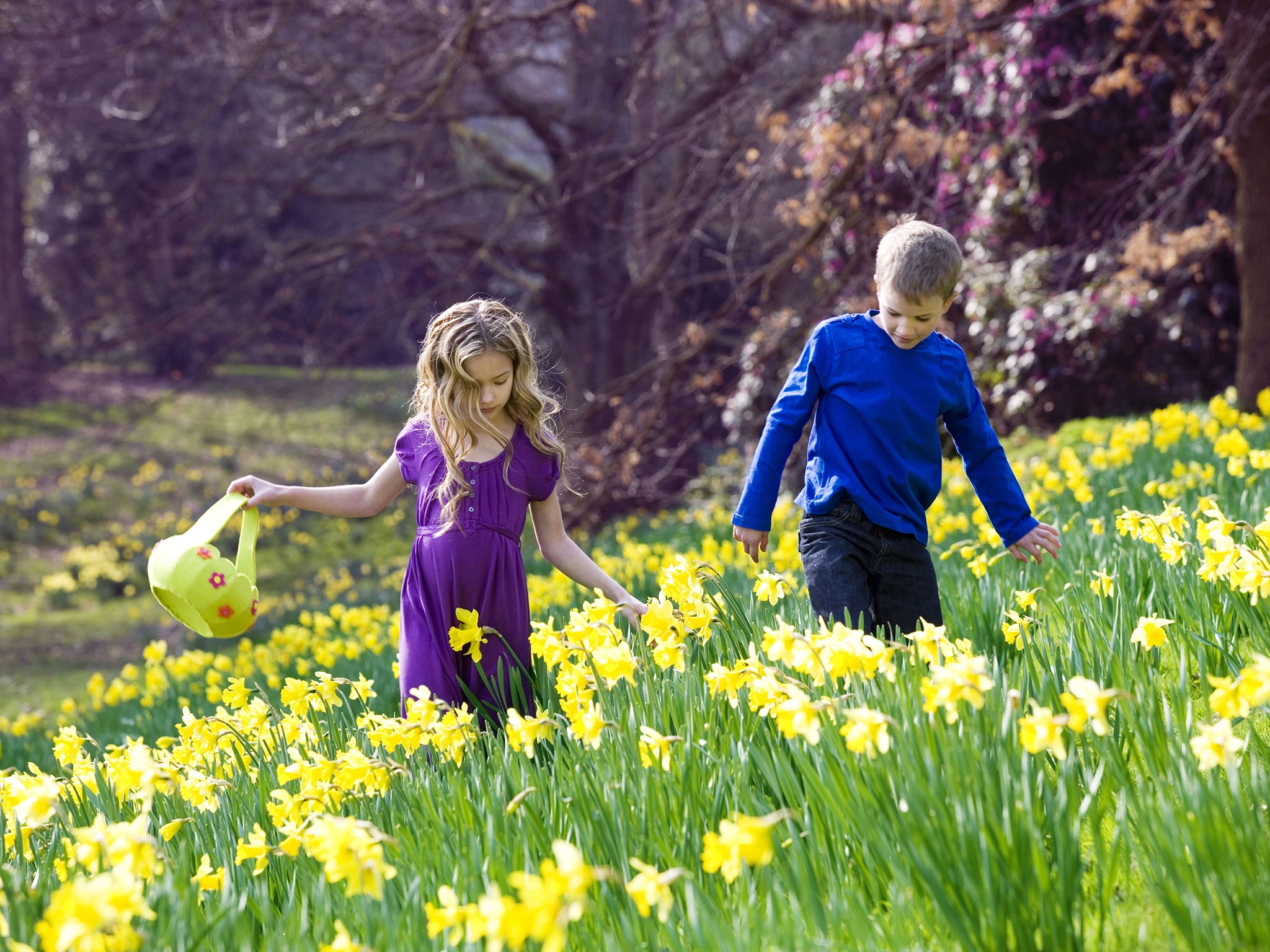 Researchers found huge benefits for schoolchildren who go to schools that feature lots of green spaces and natural scenery