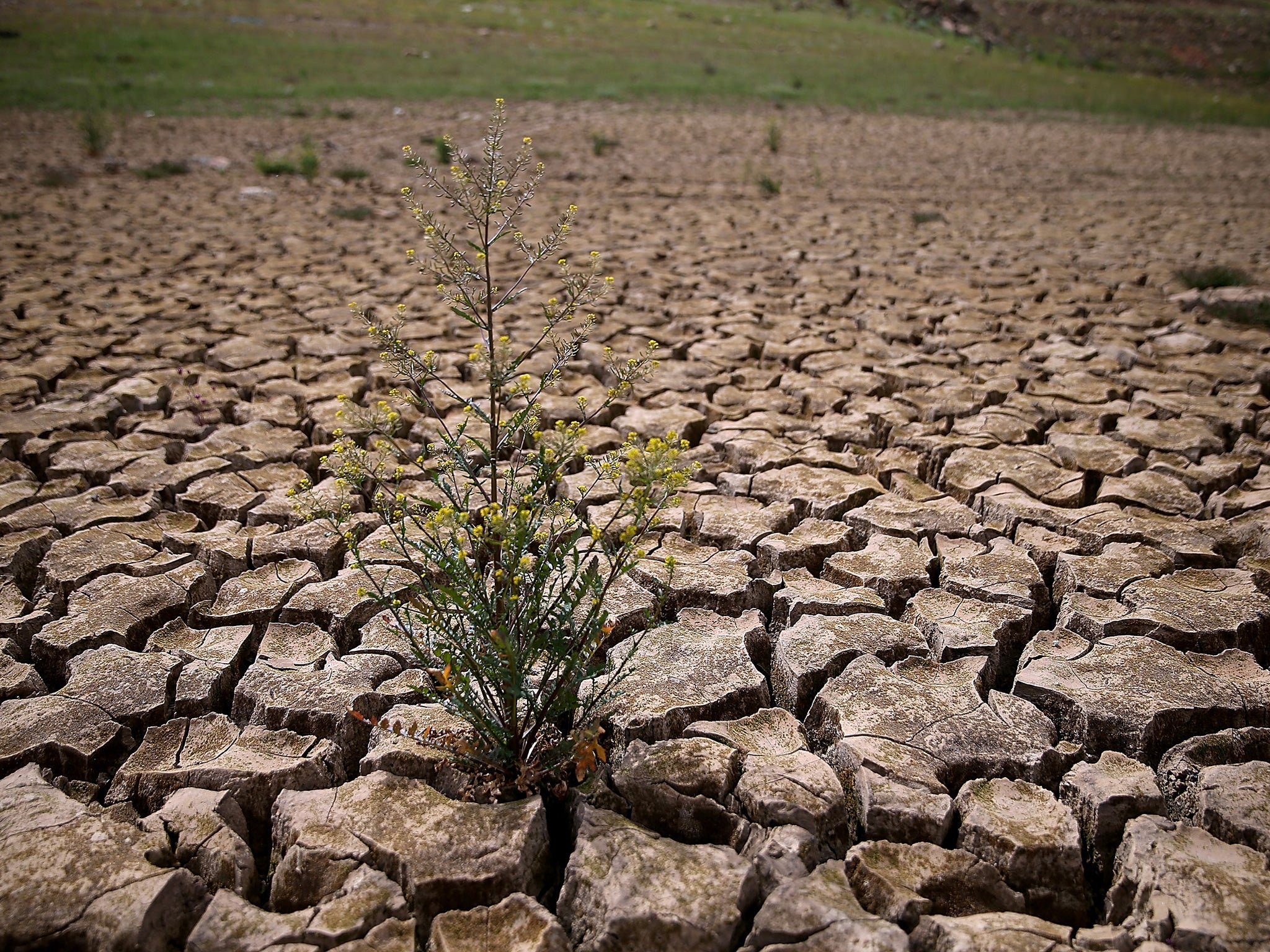 California's drought has caused the state to pass its first extensive groundwater regulations