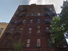 New York apartment building roof is home to a country cabin complete