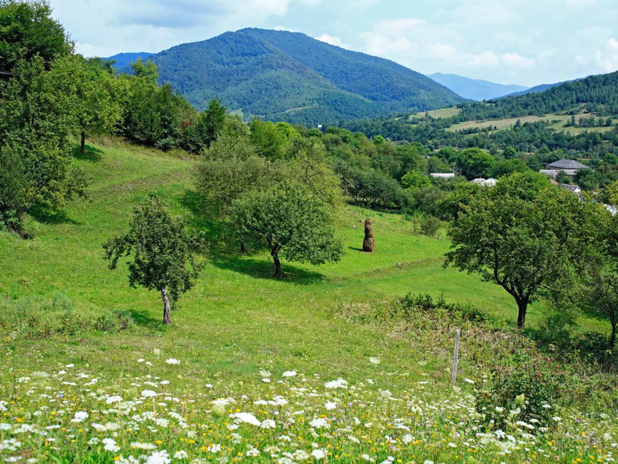 Ukraine's Carpathian Mountains