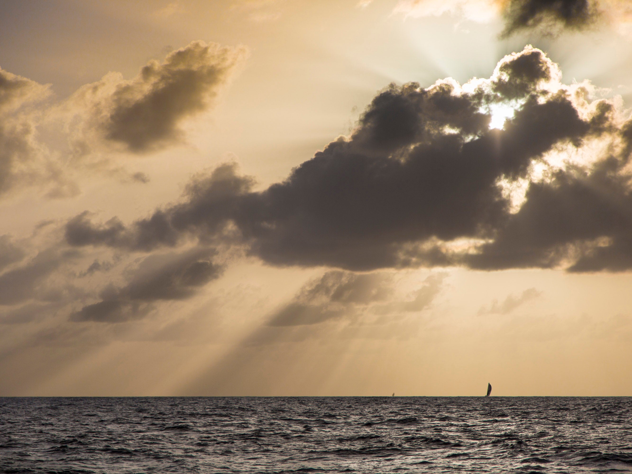 The summer solstice is the day of the year with the most hours of sunlight