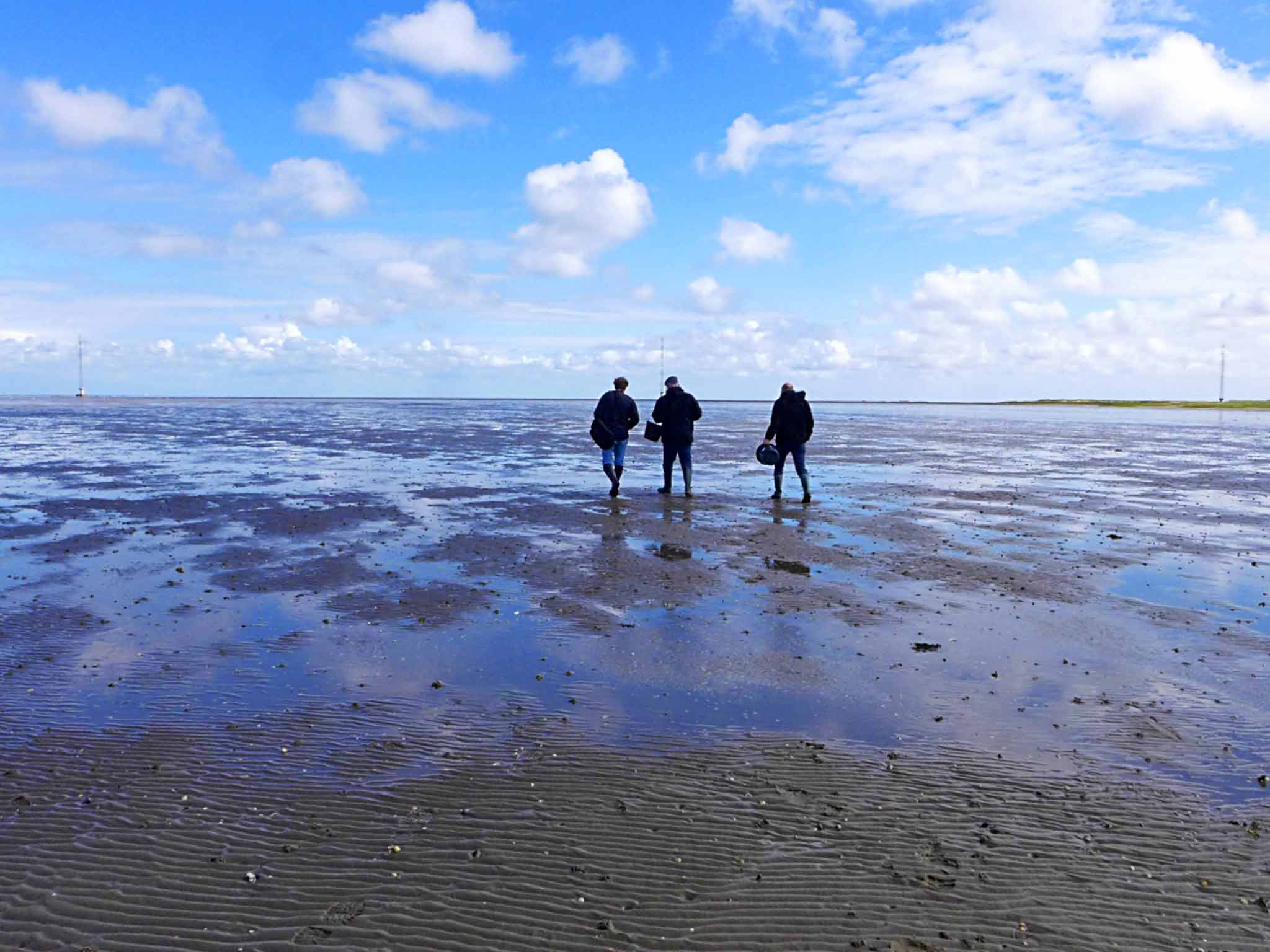 Fano oyster safari