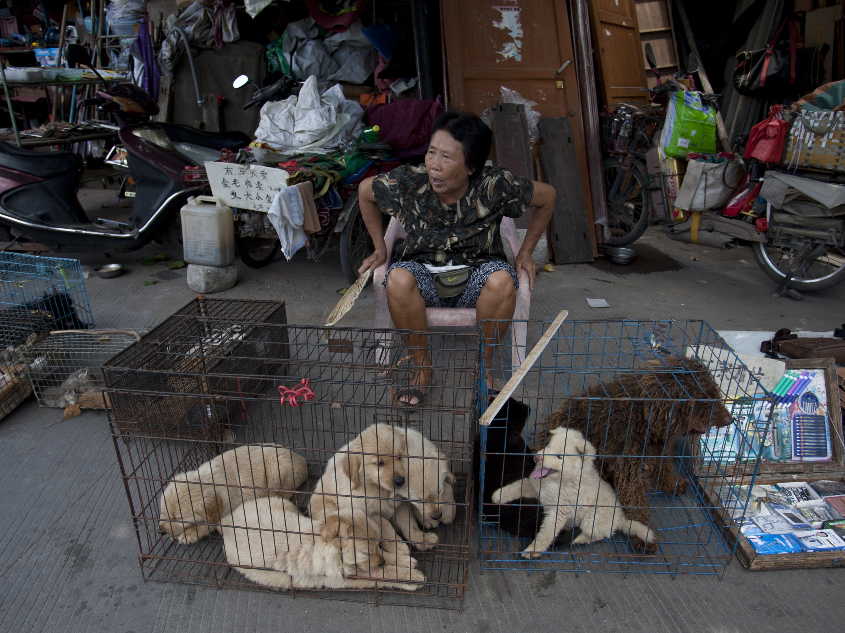 Dog meat for sale at Dongkou Market in Yulin