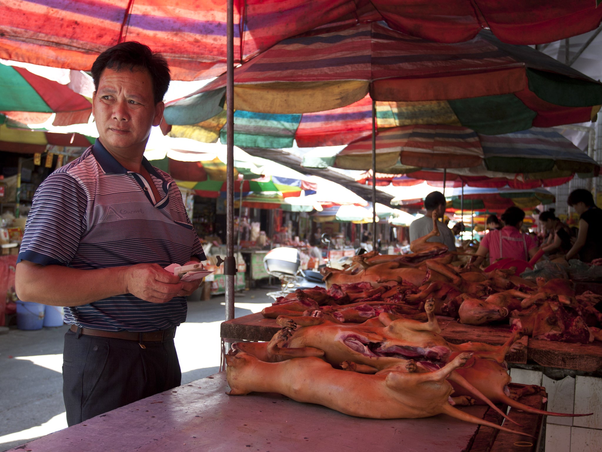 Dog meat for sale at Dongkou Market in Yulin