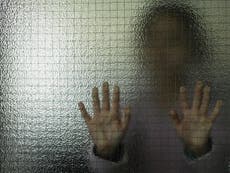 Domestic abuse will soar in lockdown three, commissioner warns