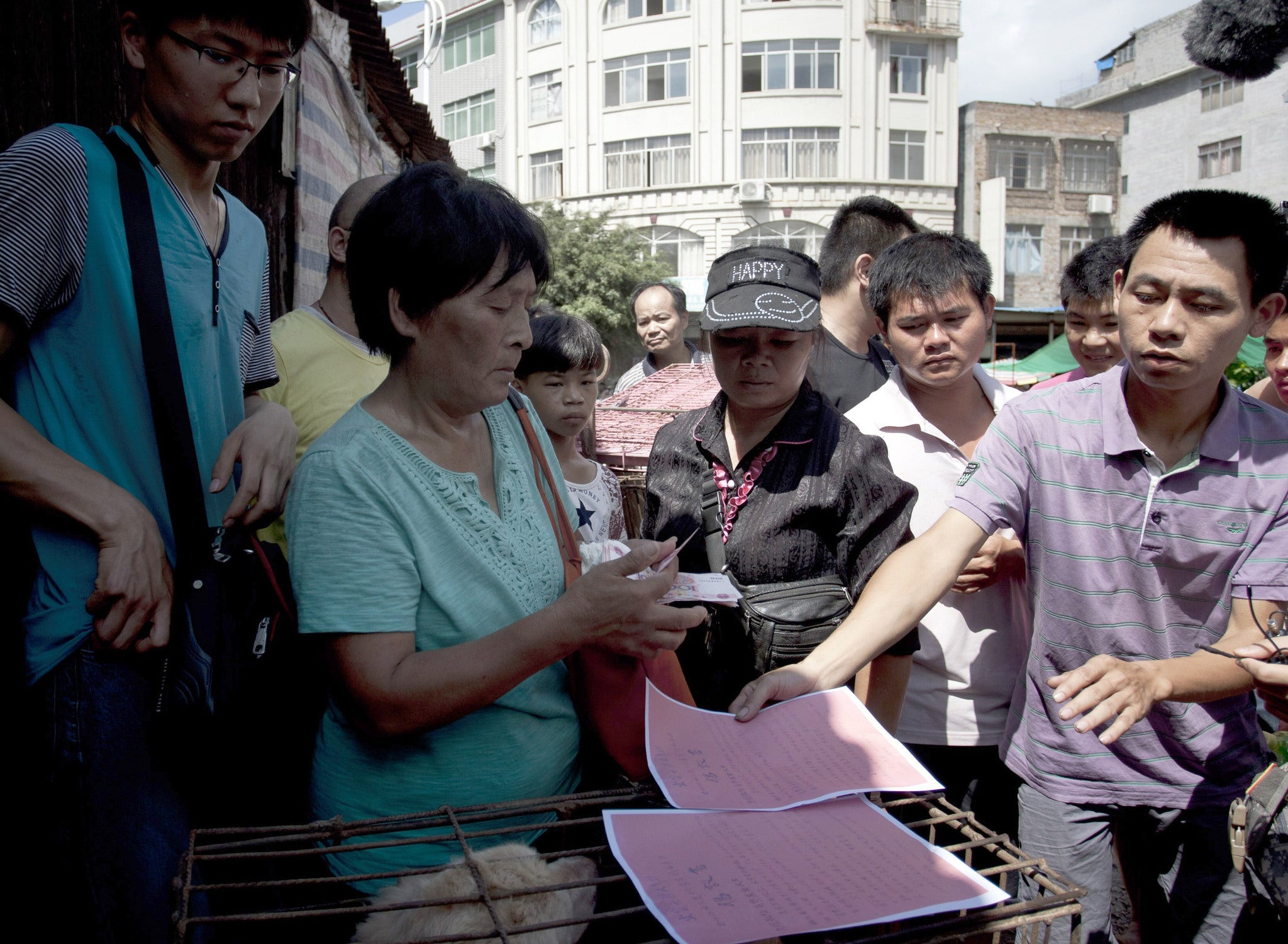 Yang Xiaoyun purchased the dogs on Saturday to save them from slaughter