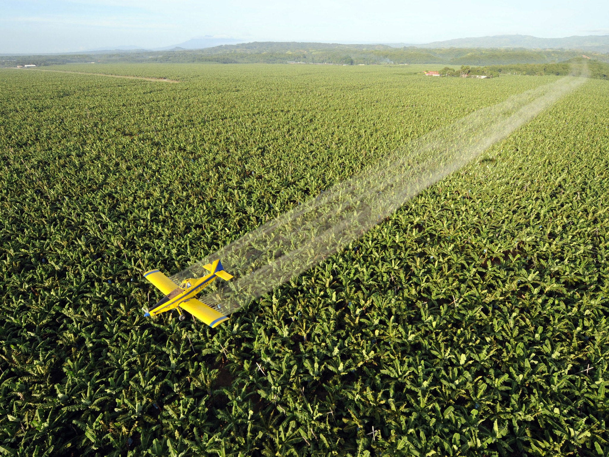 The chemical is widely used in agriculture for food crops