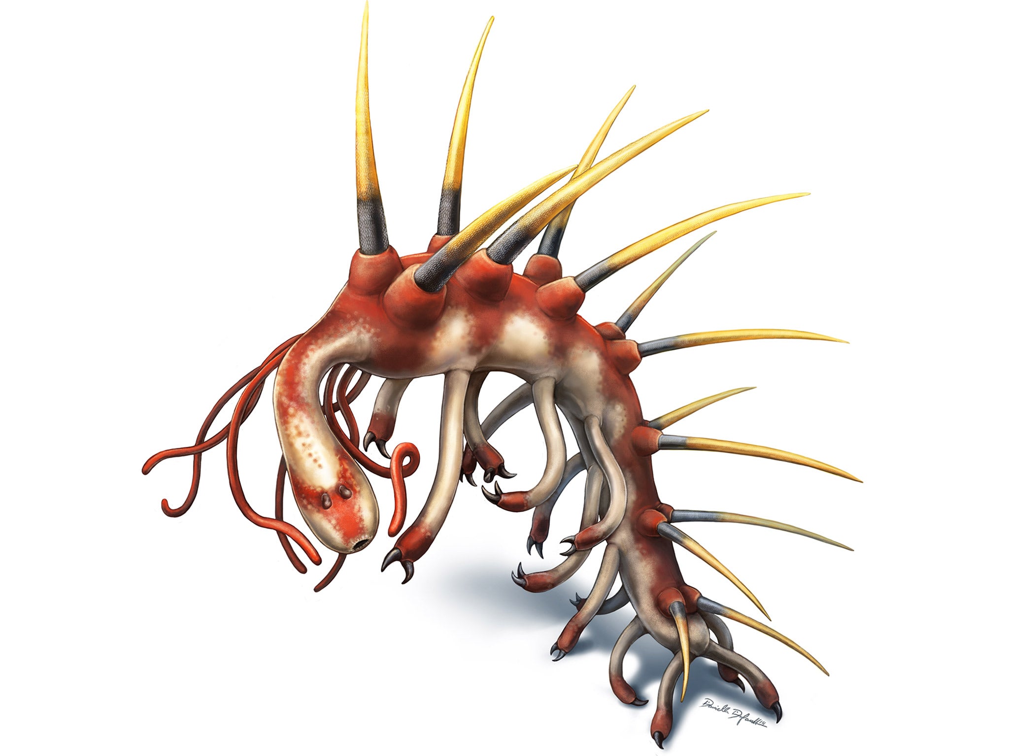 Colour reconstruction of Hallucigenia