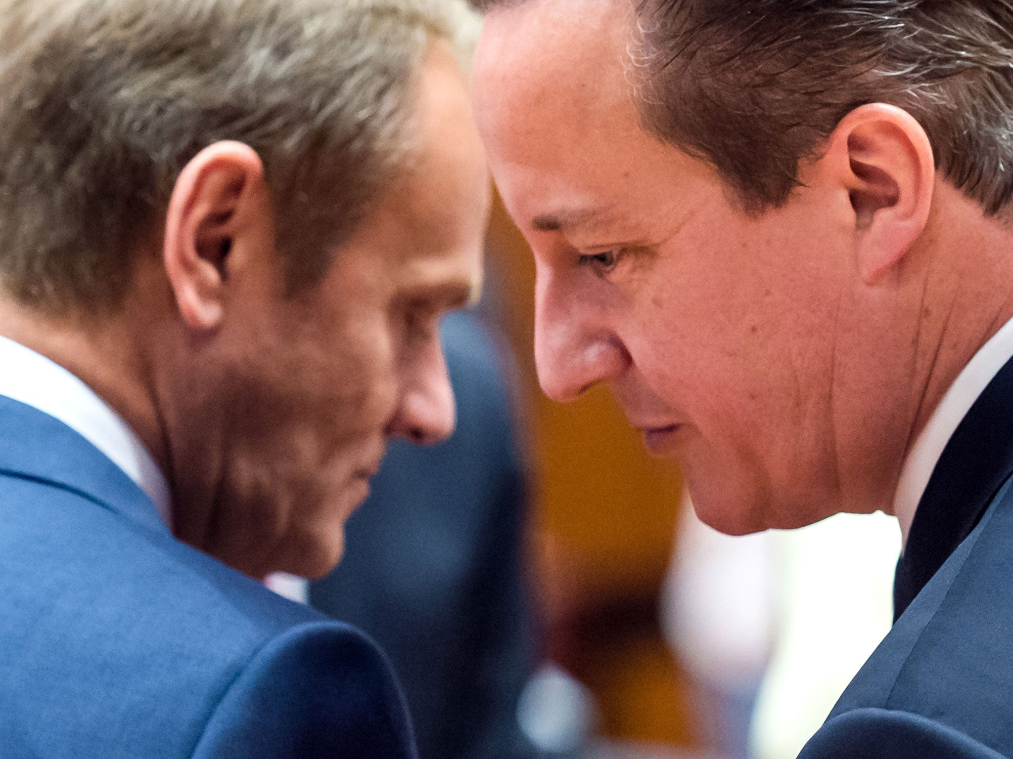 Cameron with European Council President Donald Tusk