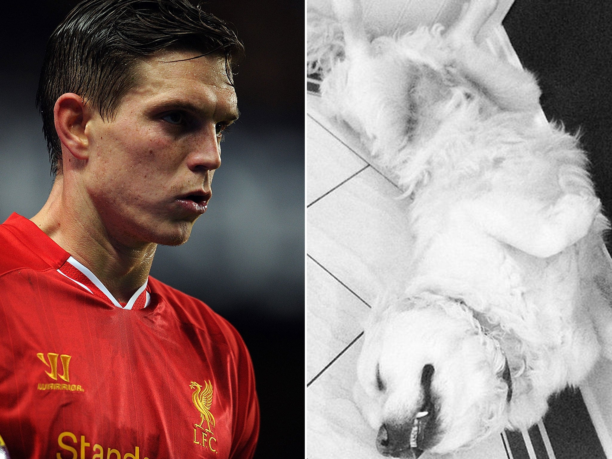 Daniel Agger and his Golden Retriever