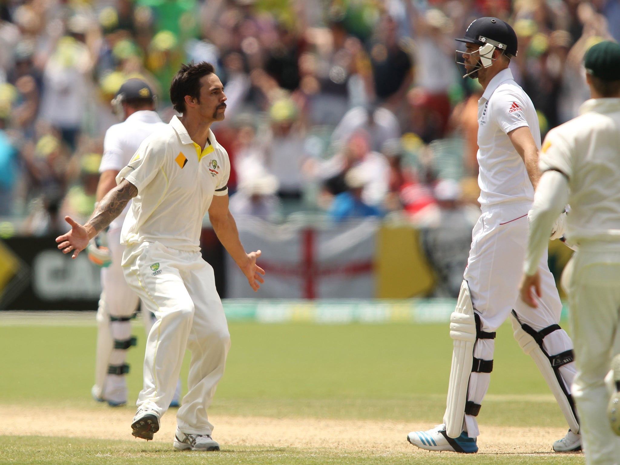 Johnson celebrates after dismissing Jimmy Anderson in the 2013-14 series