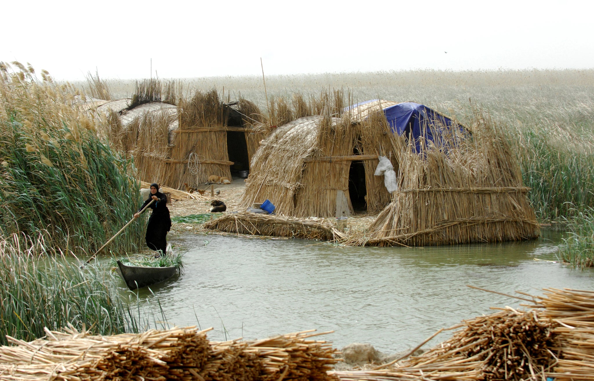 "Eden Restored - The Mesopotamian Marshes of Iraq" by Esme Allen