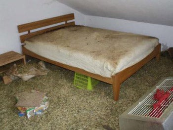 Sawdust and straw covered the floors and cages can be seen