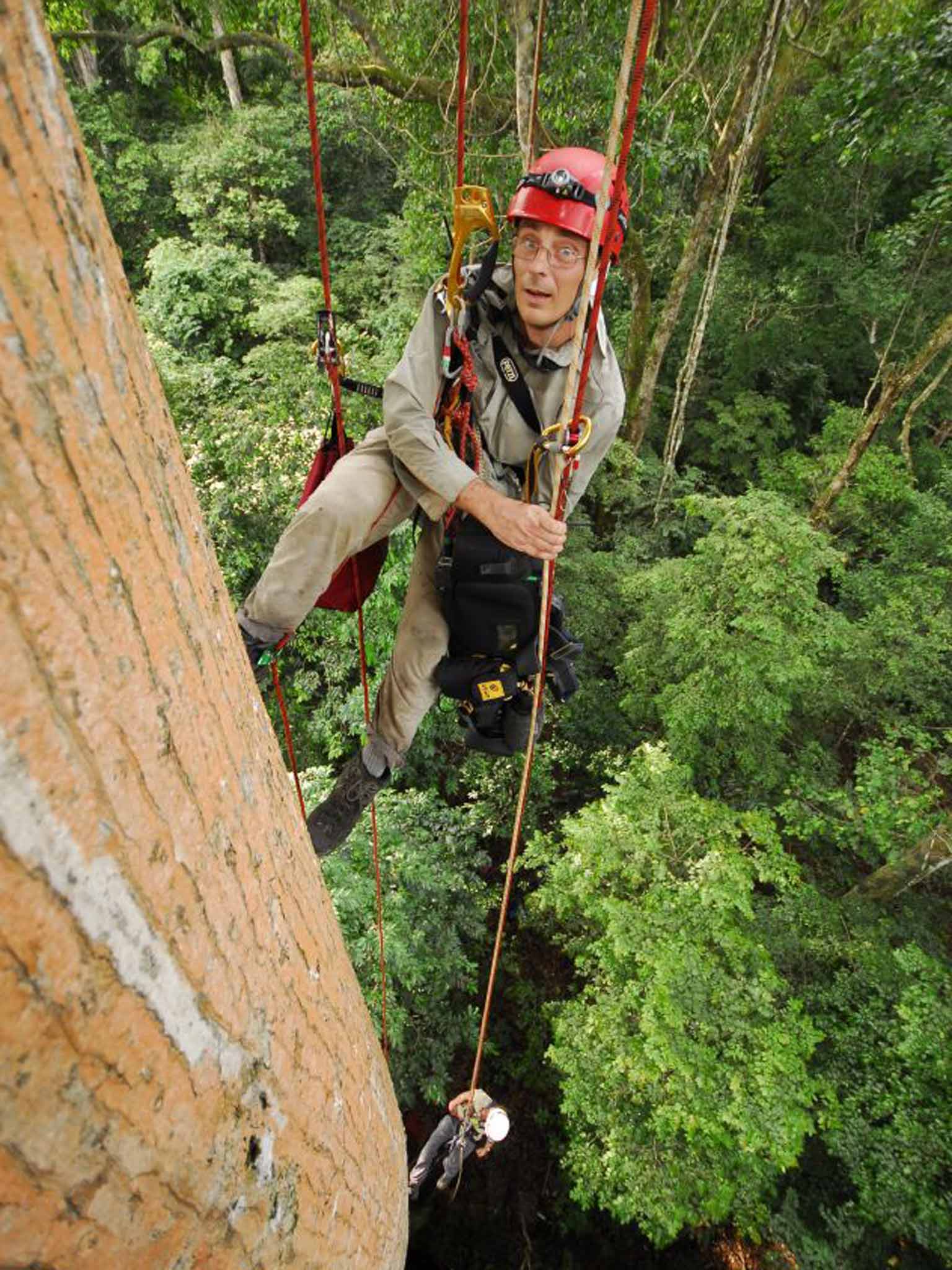 Abseiling in Gabon, West Africa