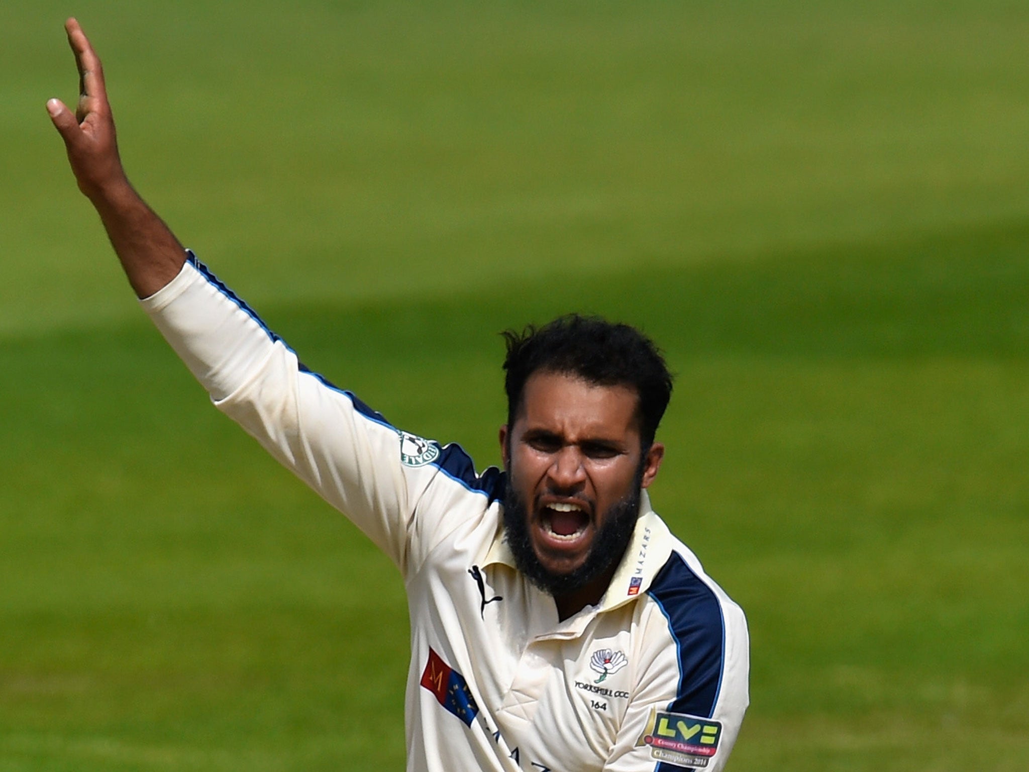 Adil Rashid