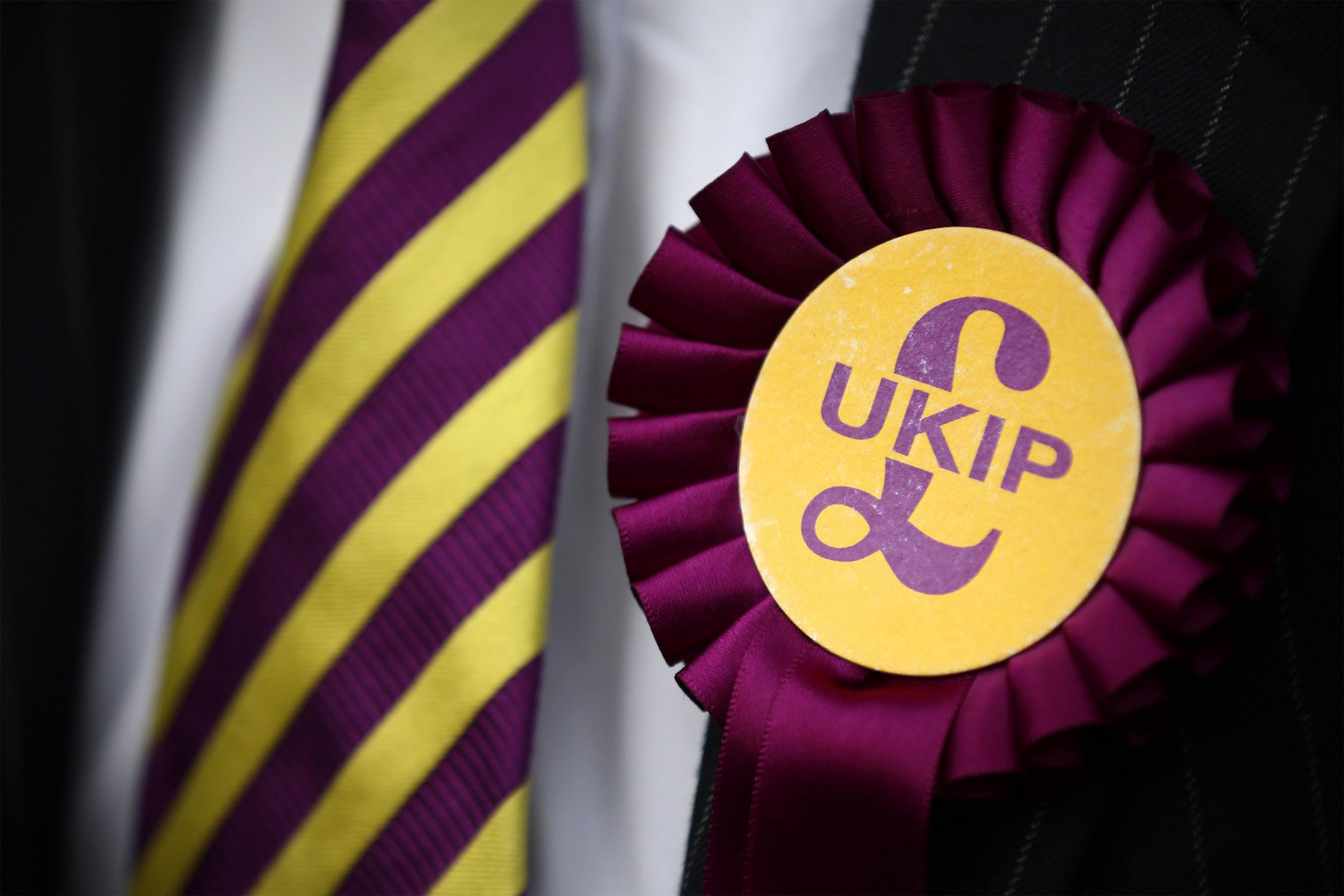 The director of the group behind the exhibition stood for Ukip in Lewisham East during the 2015 General Election