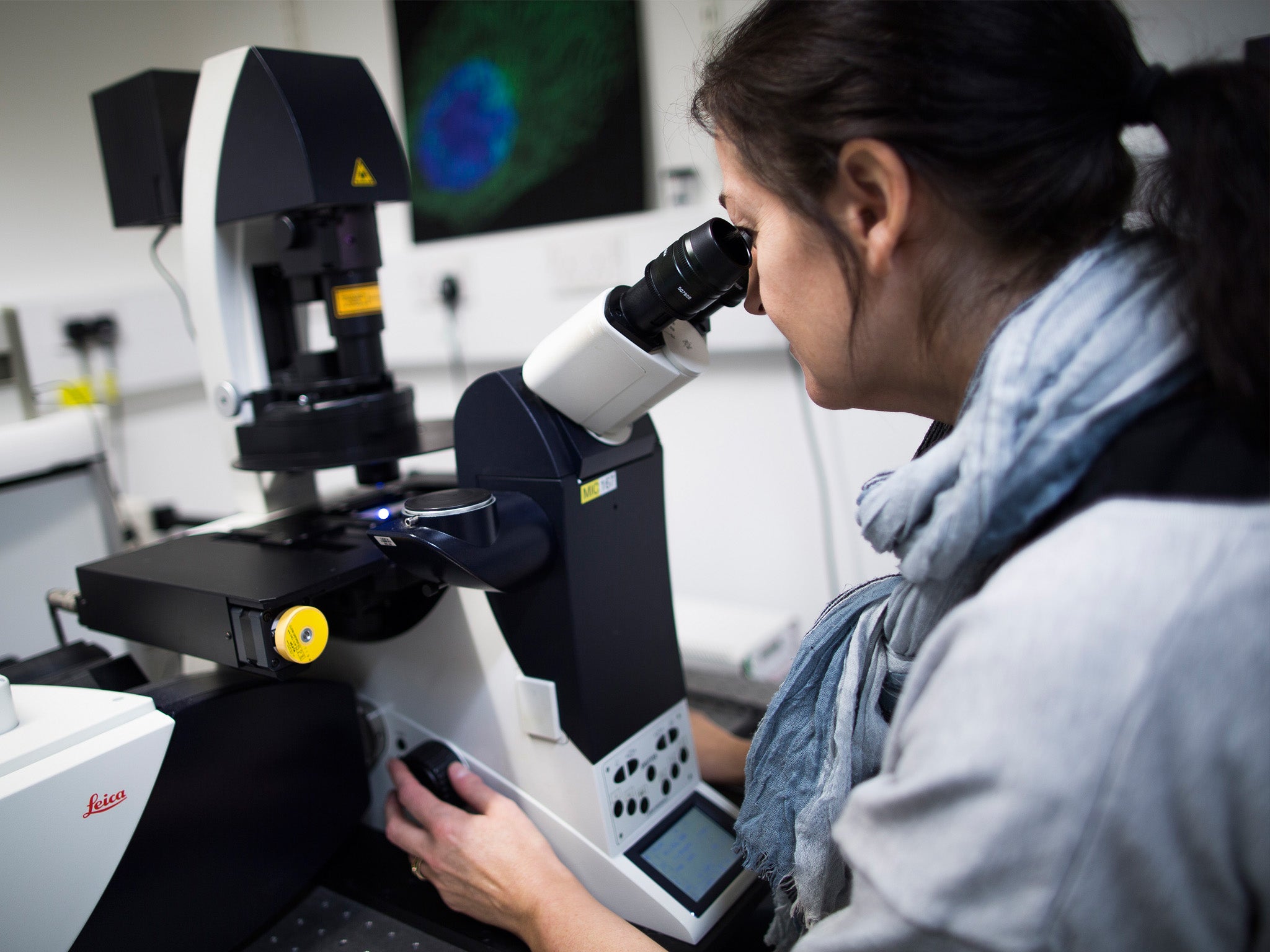 A scientist works at the Cancer Research UK laboratories in Cambridge