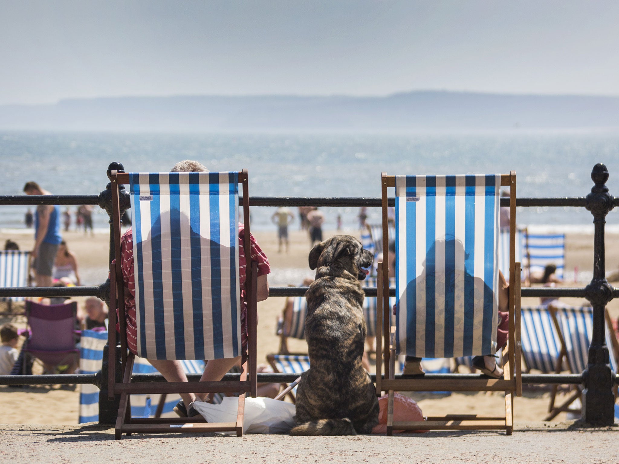 Scarborough: Graham Kirby says, 'I have no idea where it is. Am I alone here?' That is a QTWTAIN.