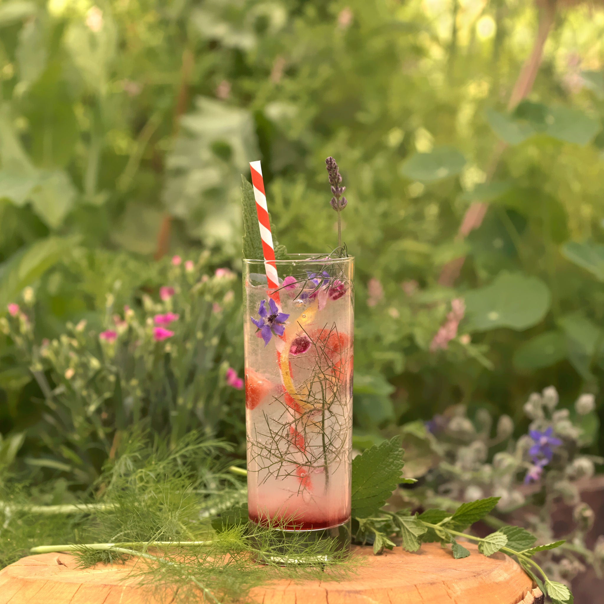 Elderflower liqueur is perfect for a Chelsea Fringe Collins