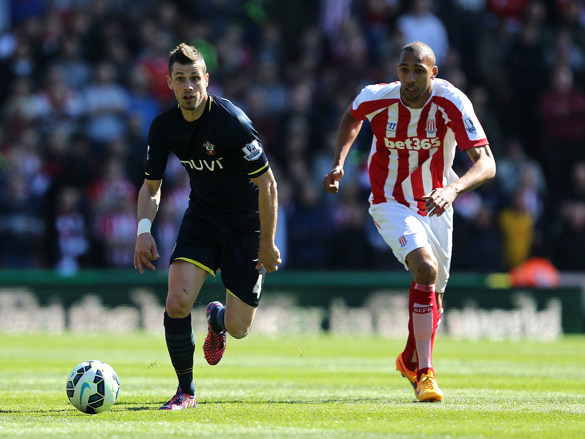 Morgan Schneiderlin is wanted by Manchester United