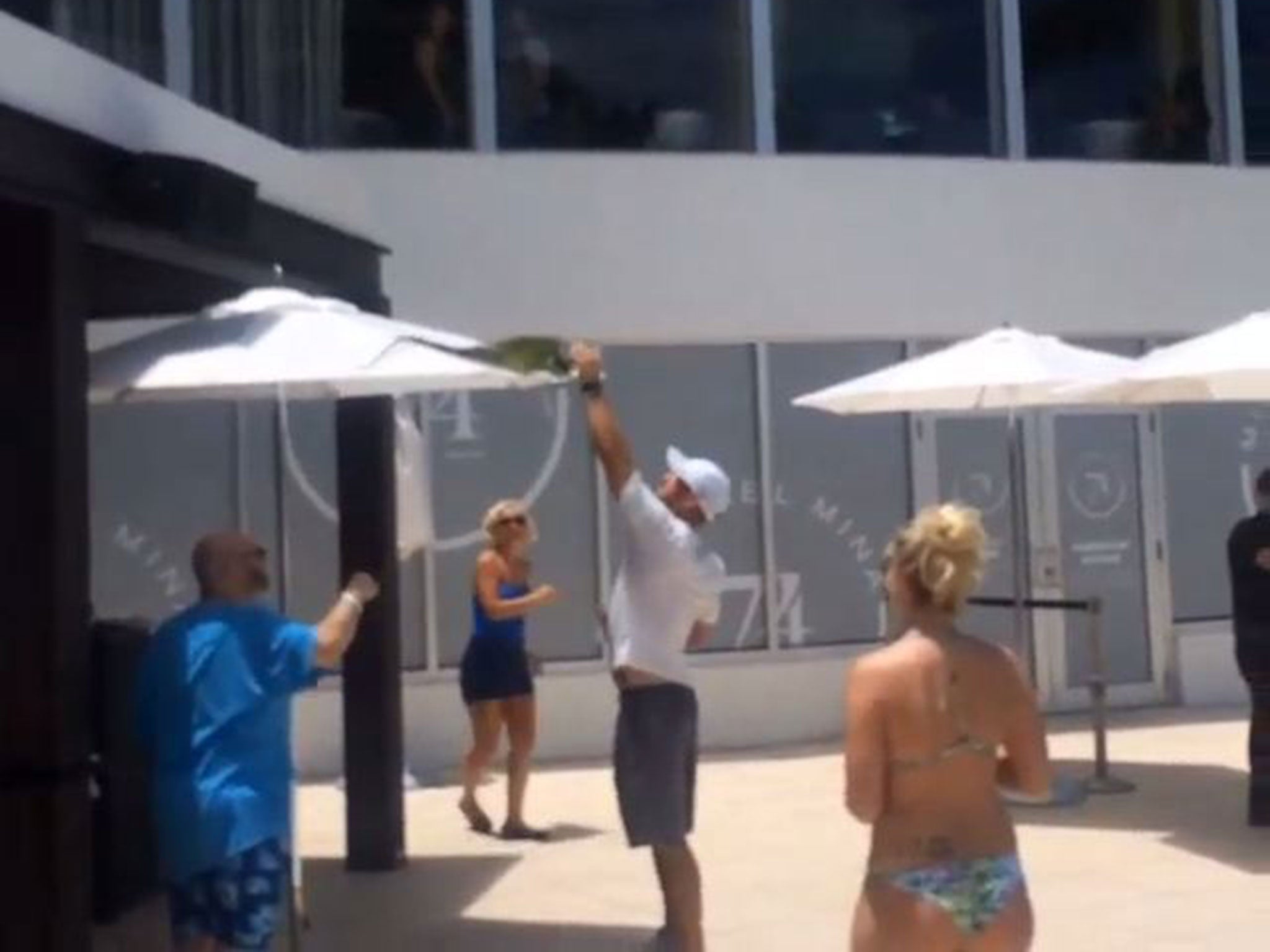 A man attempts to move the iguana and gets a tail-whip for his efforts