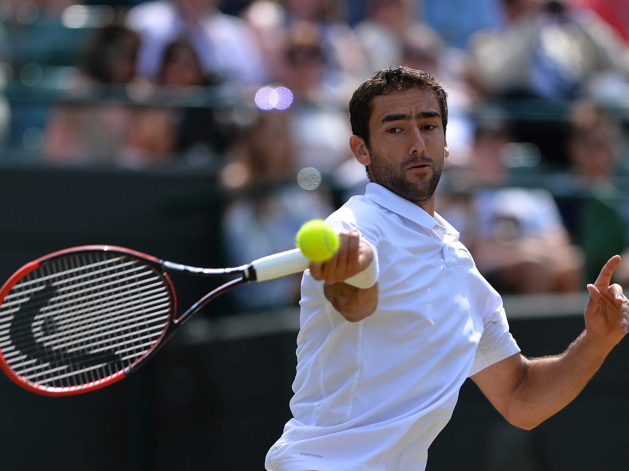 Cilic in action