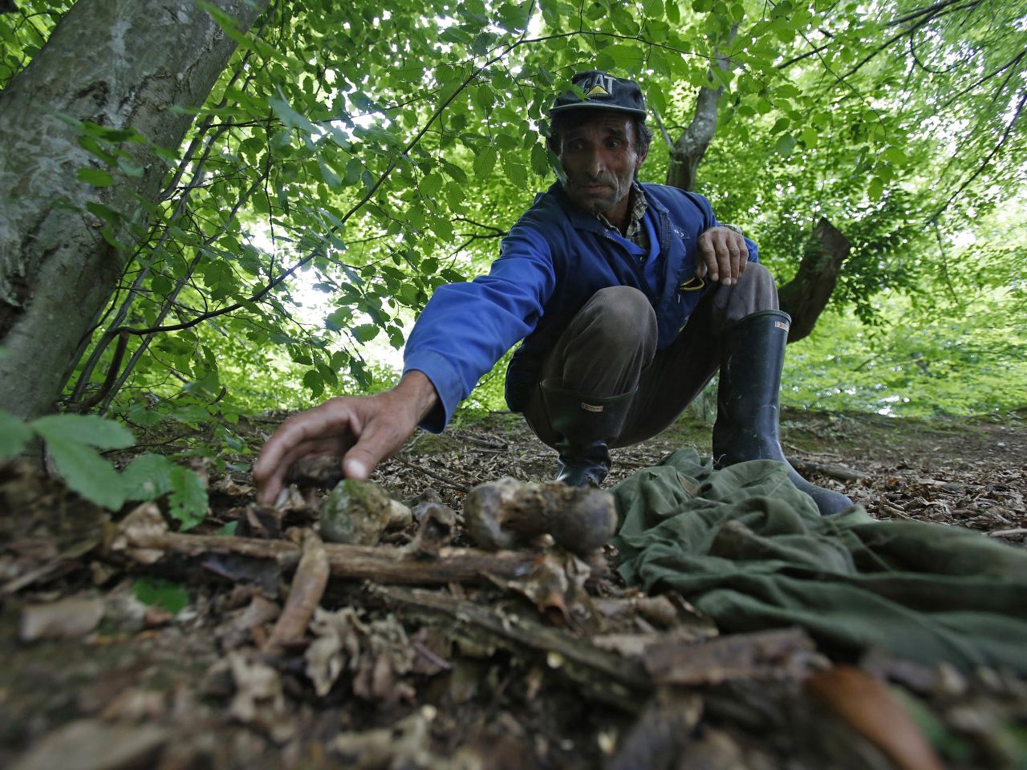 Ramiz Nukic scouring the nearby woods