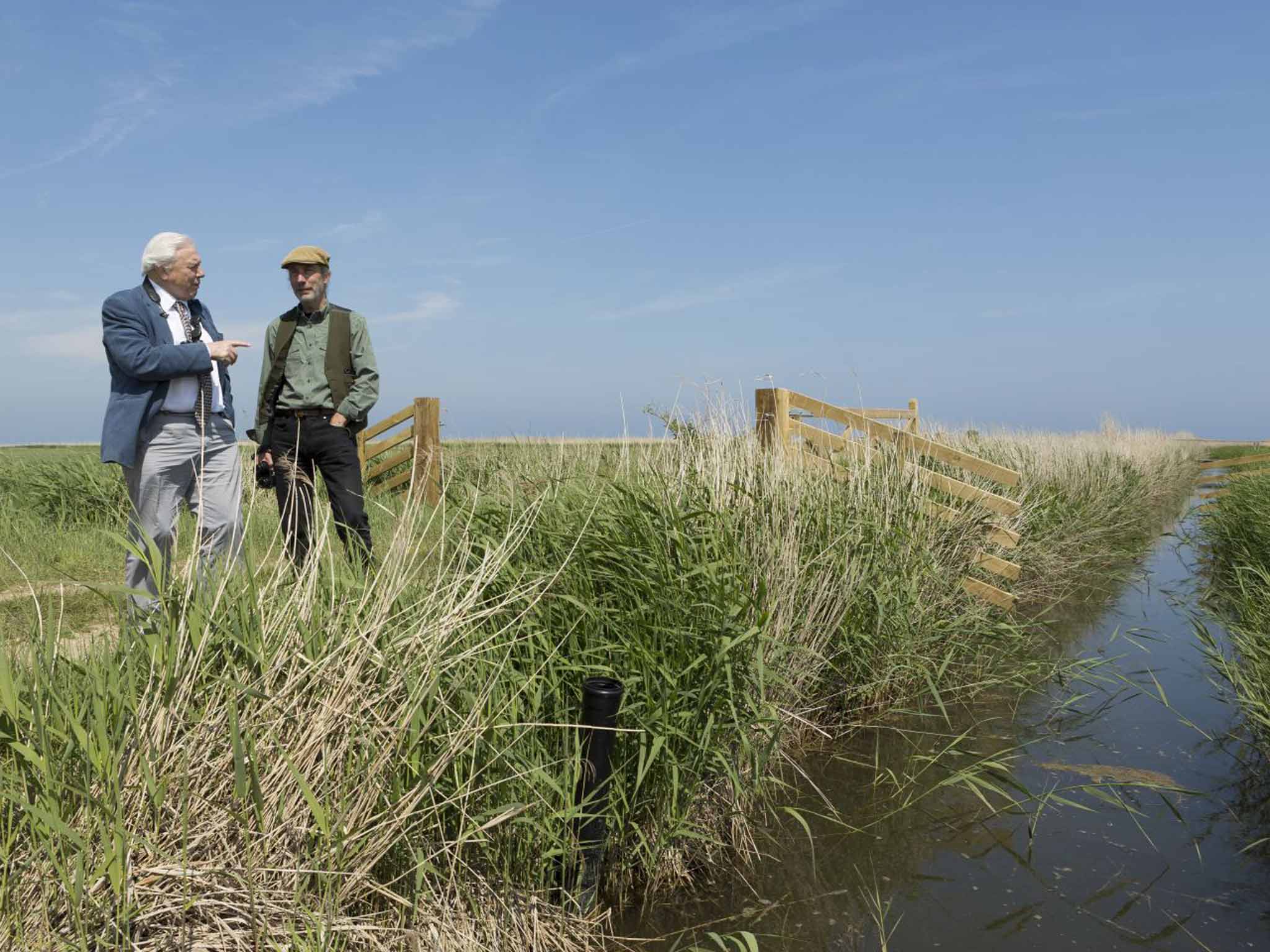 Simon Barnes with David Attenborough at Cley, north Norfolk, June 2015