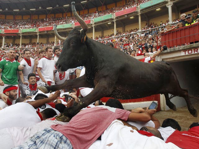 A wild cow leaps over revellers into the bull ring after the second running of the bulls of the San Fermin festival in Pamplona 