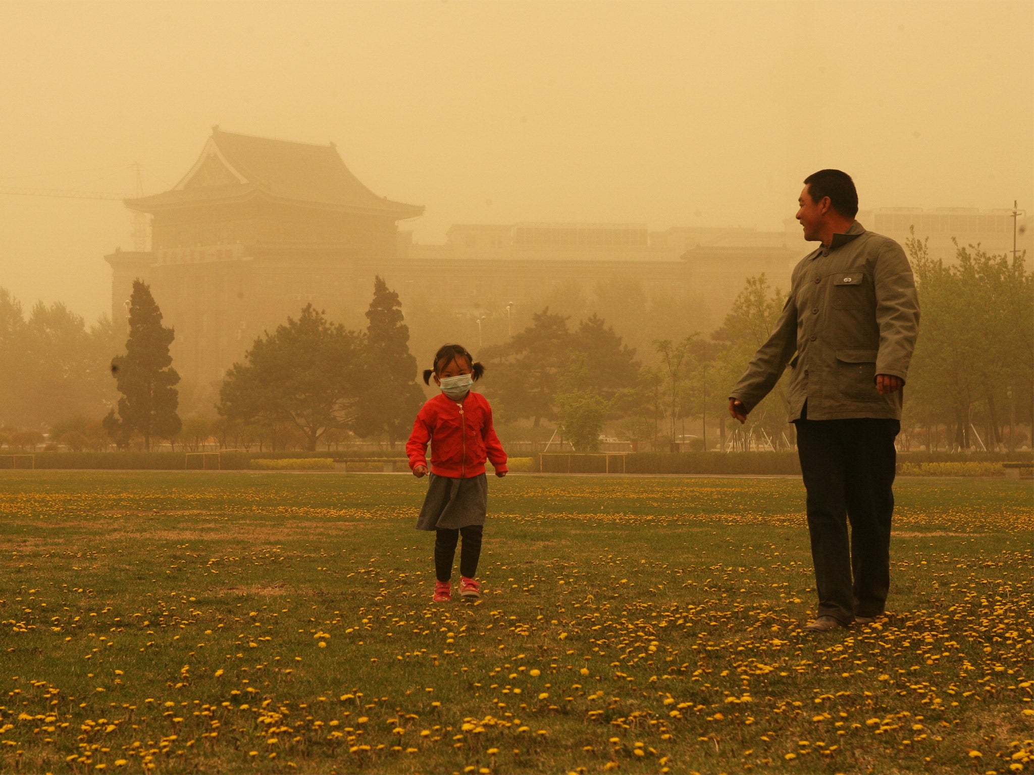 Something in the air: every spring, dust from the Gobi Desert in northern China and Mongolia enters the atmosphere and travels east