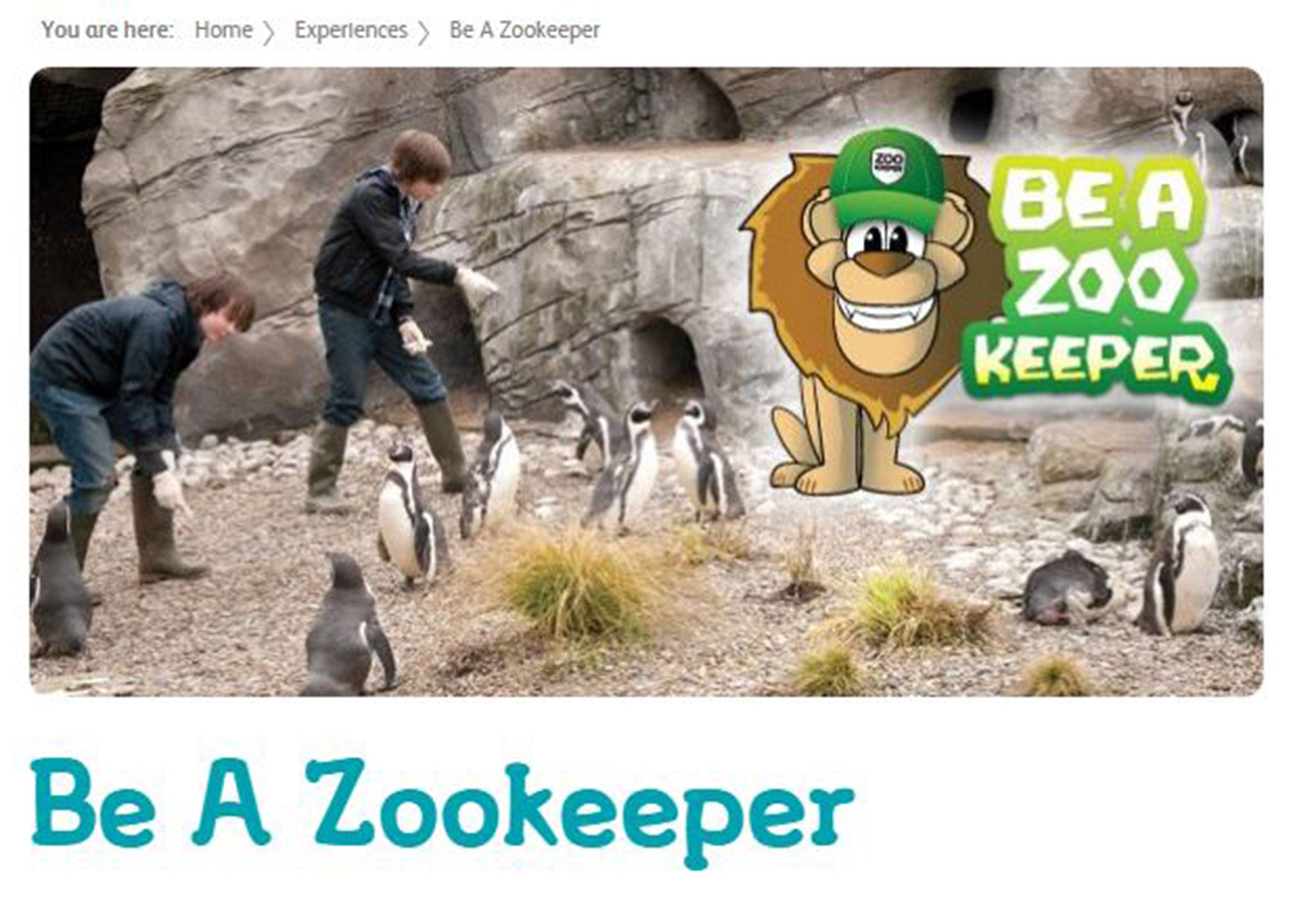 You can be a zookeeper for the day