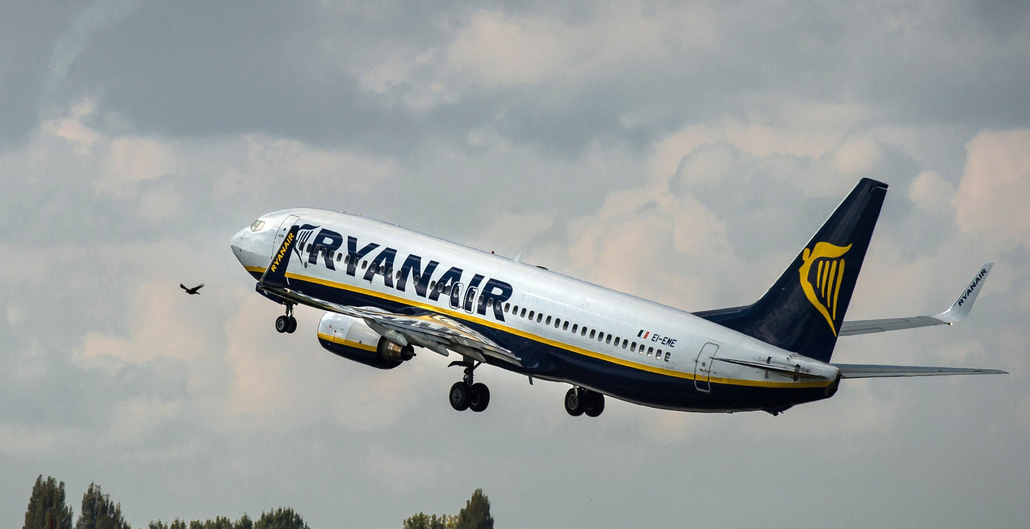 An 737 Boeing plane of the Ryanair company takes off, on October 11, 2014 at the Lille-Lesquin airport, northern France. AFP PHOTO / PHILIPPE HUGUEN (Photo credit should read PHILIPPE HUGUEN/AFP/Getty Images)