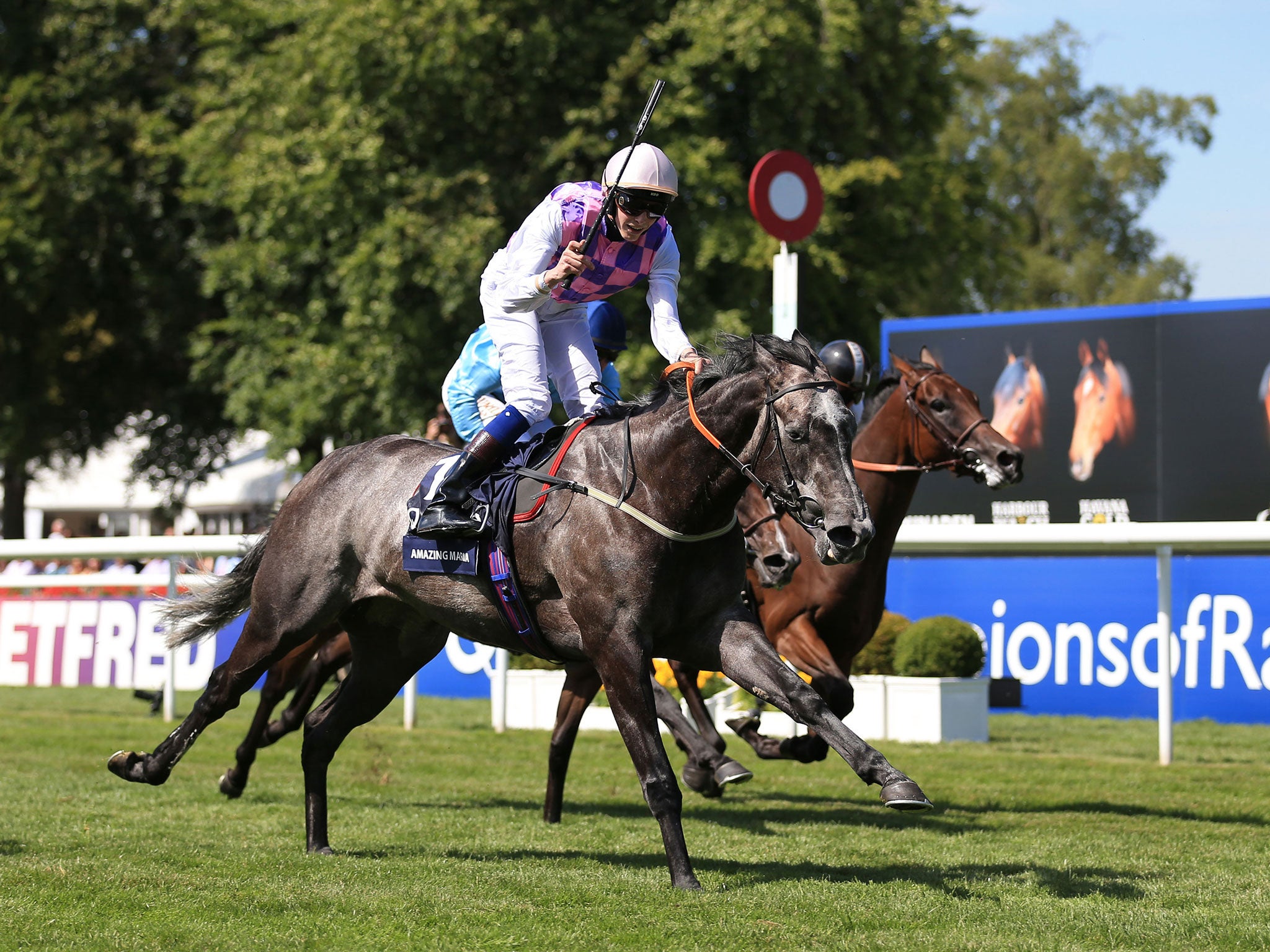 James Doyle celebrates victory aboard Amazing Maria in the Falmouth Stakes on the July Course at Newmarket