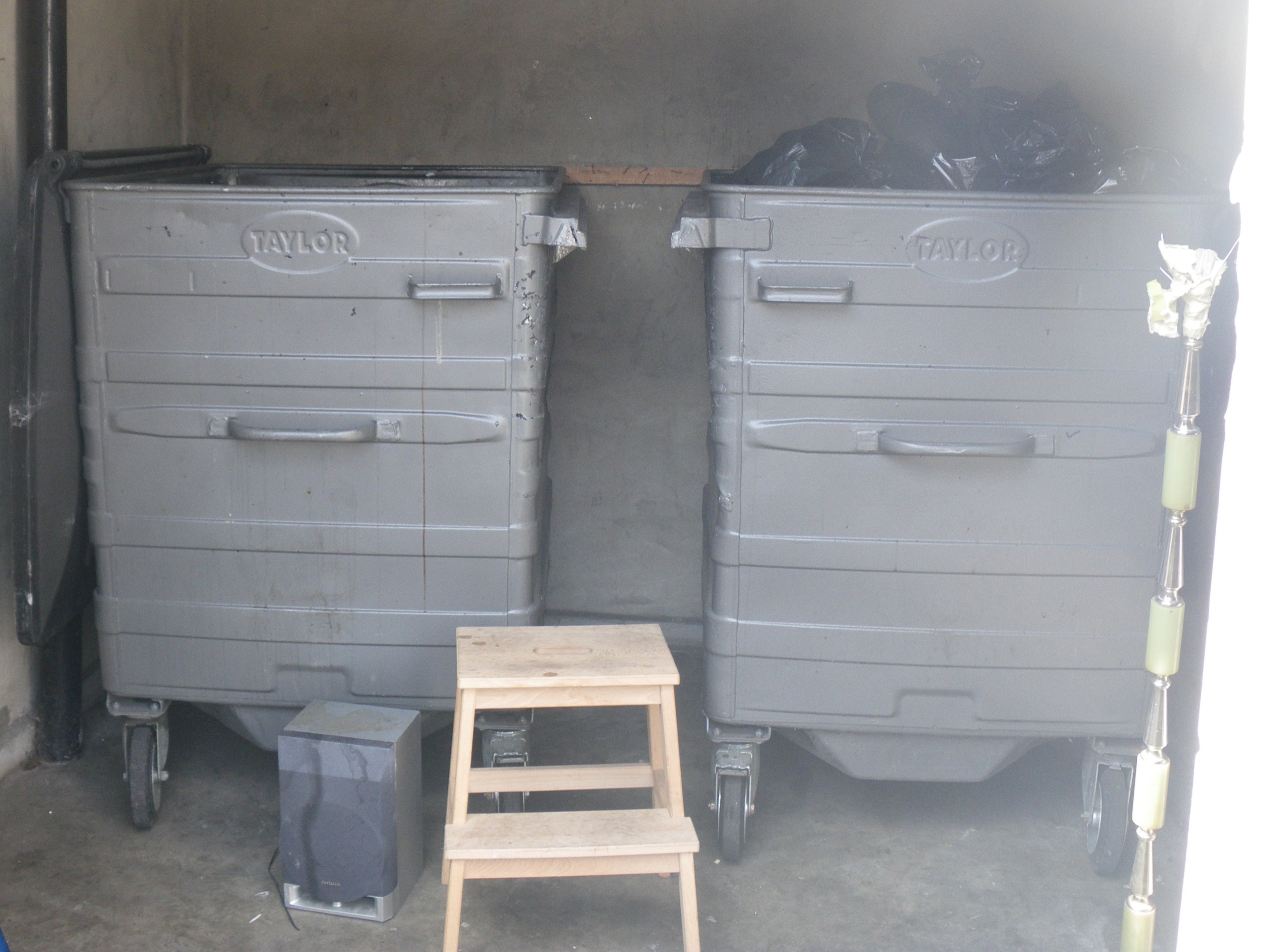 The bins in Hackney where Victor Hammond left a bull terrier dog to bleed to death over 15 hours