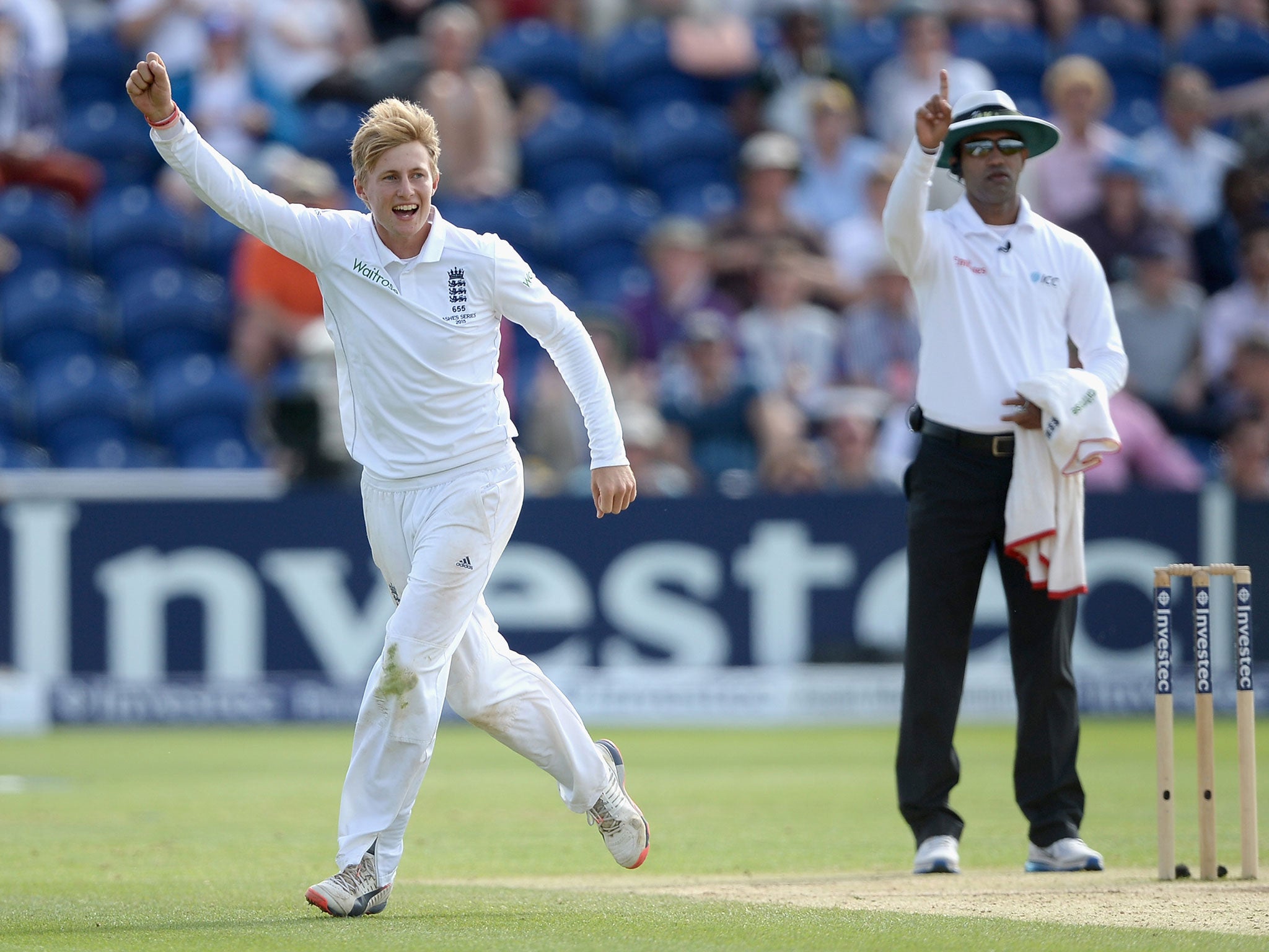 Joe Root celebrates taking the wicket of Mitchell Starc