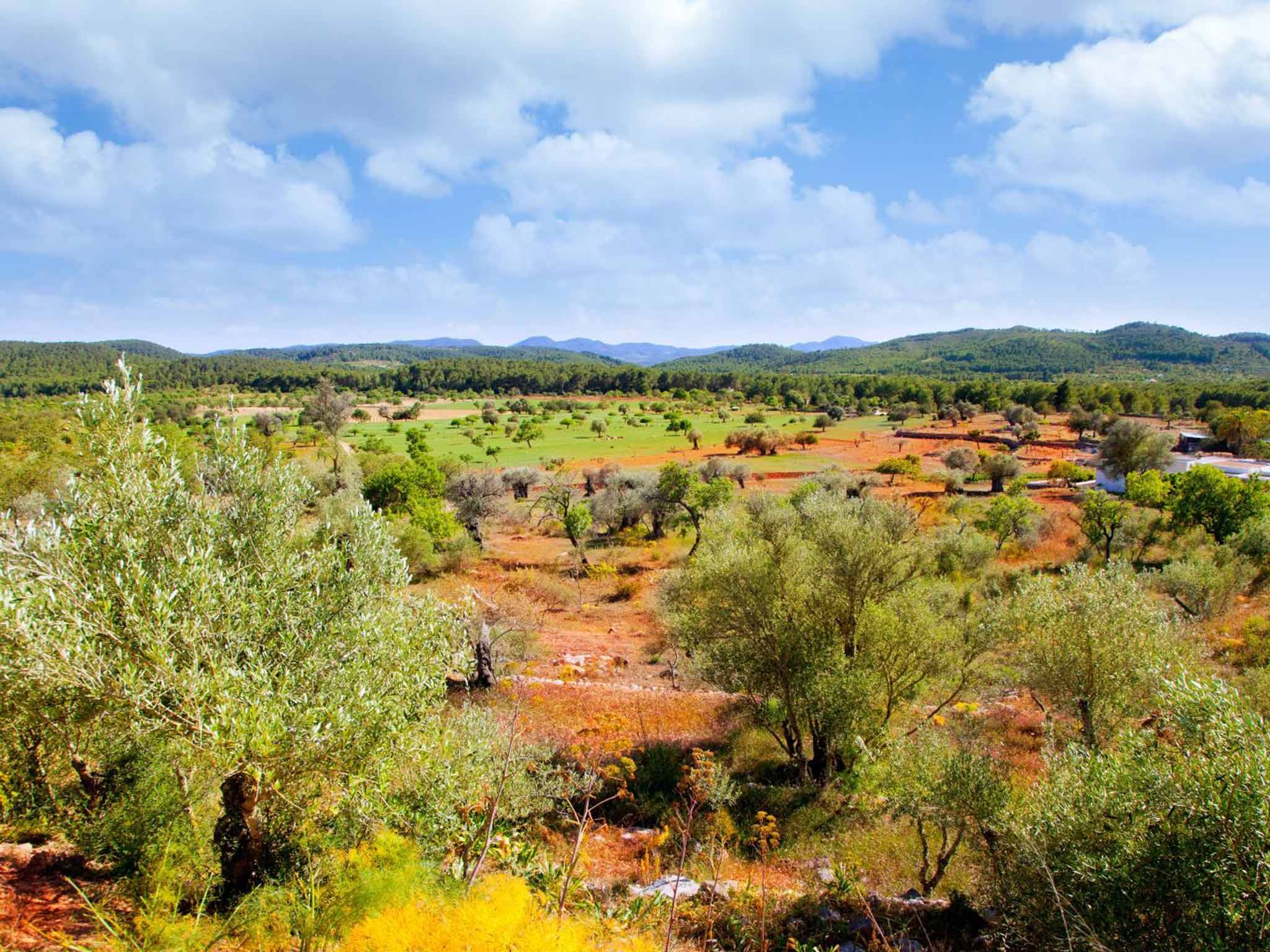 Low-lying landscape