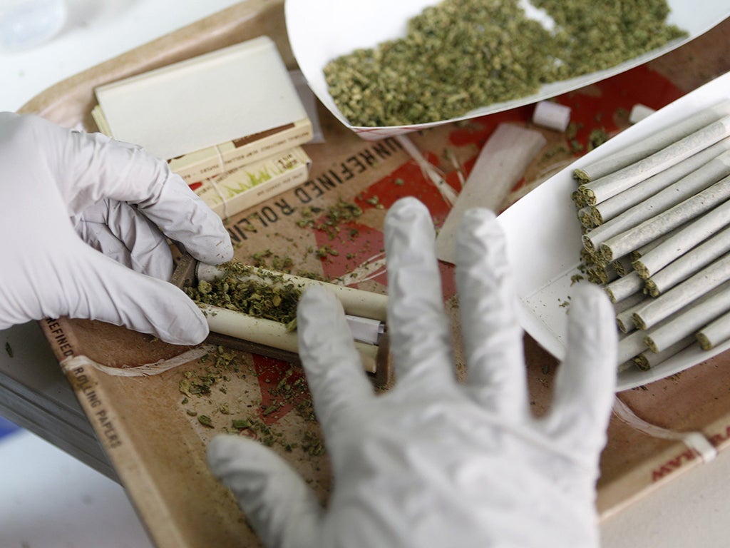 Medical marijuana cigarettes are hand-rolled at the All American Cannabis Club, aka A2C2, a medical marijuana collective, in San Jose
20 Aug 2014