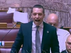 Greece debt crisis: Watch angry Golden Dawn MP rip up bailout deal