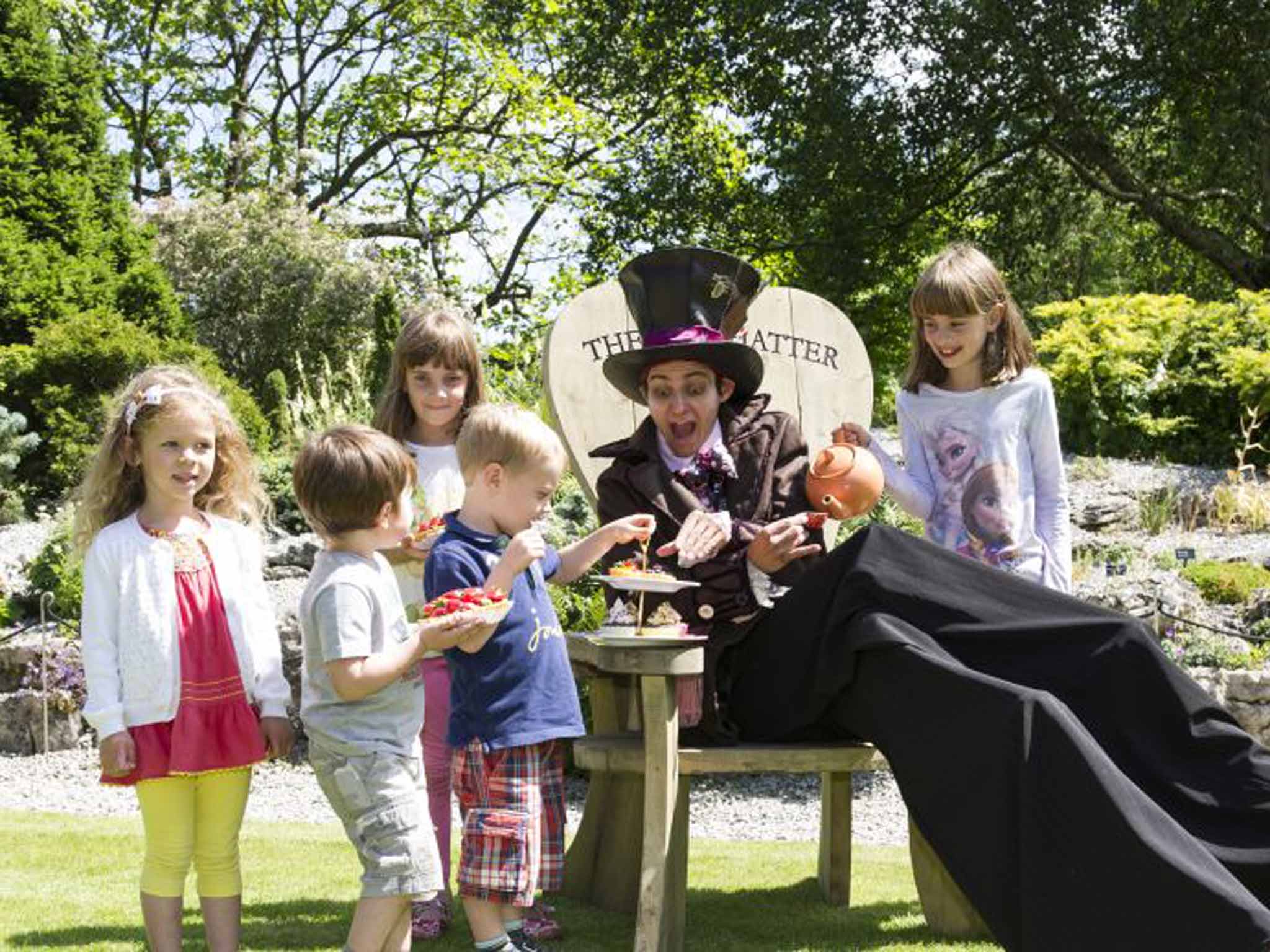 Mad Hatter at Harlow Carr