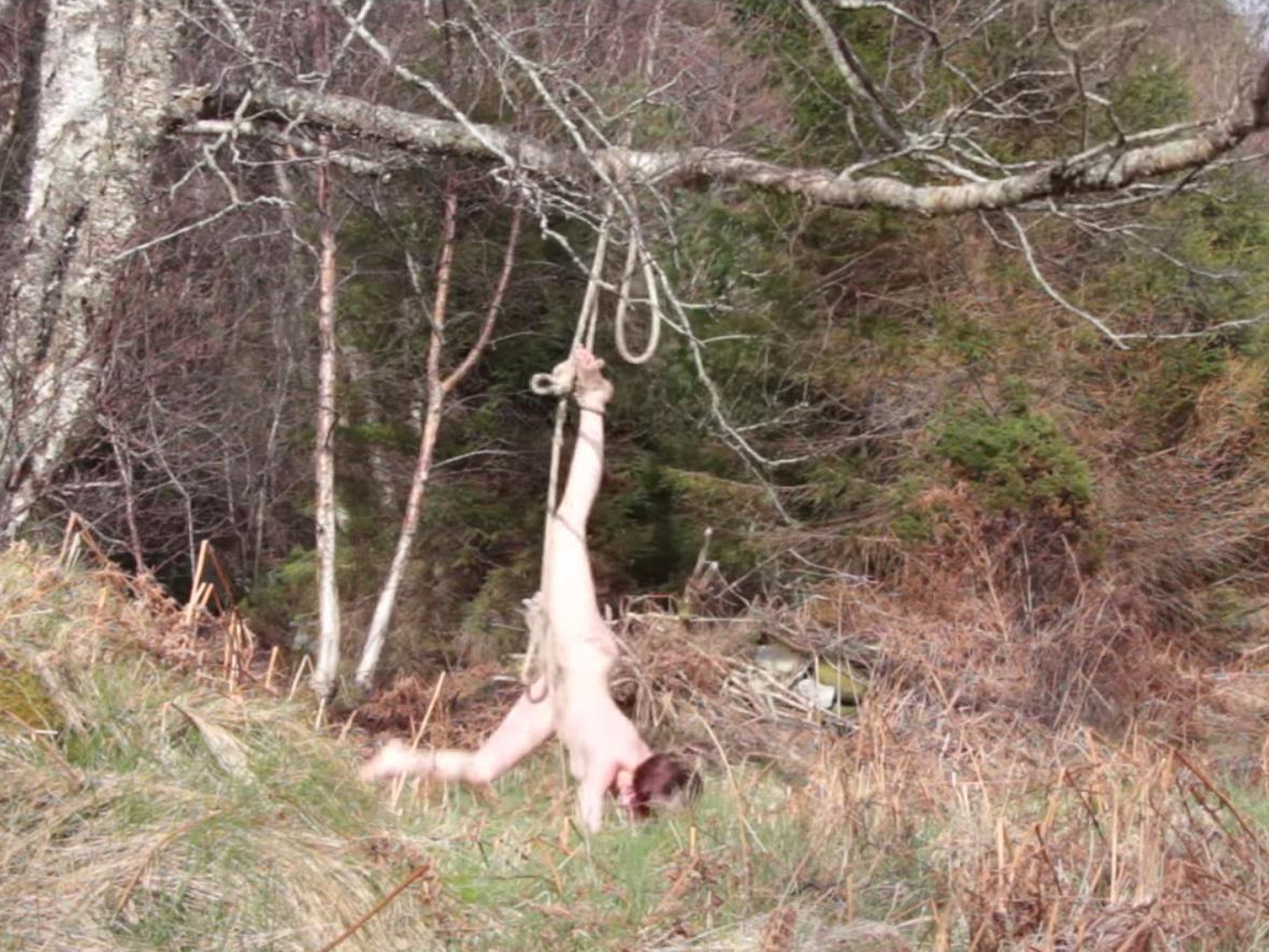 Hilde Krohn Huse dangles upside down for her performance piece 'Hanging in the Woods'