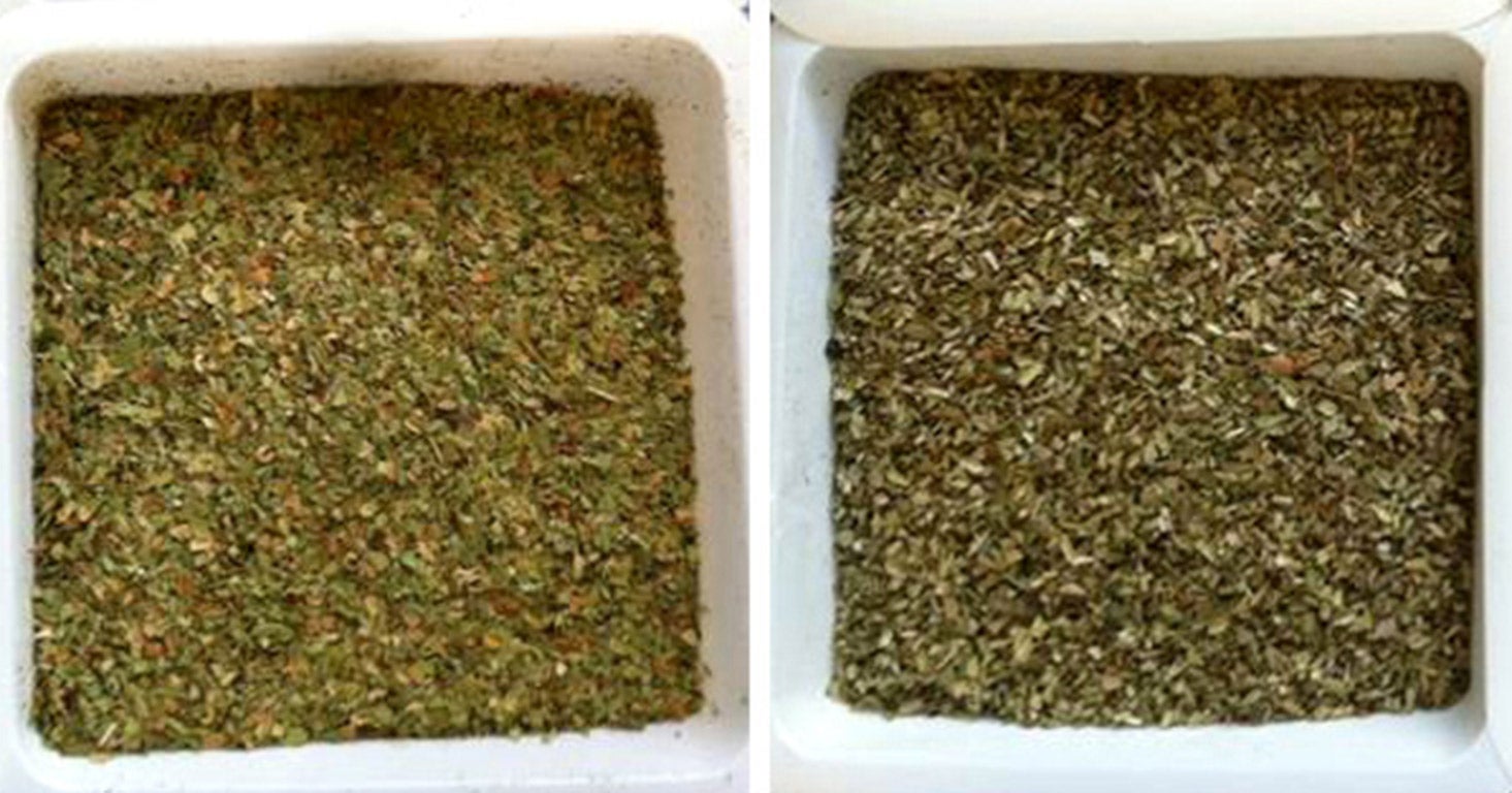 ‘Which?’ photo showing myrtle leaves (far left) and olive leaves. Both are used to thin down oregano