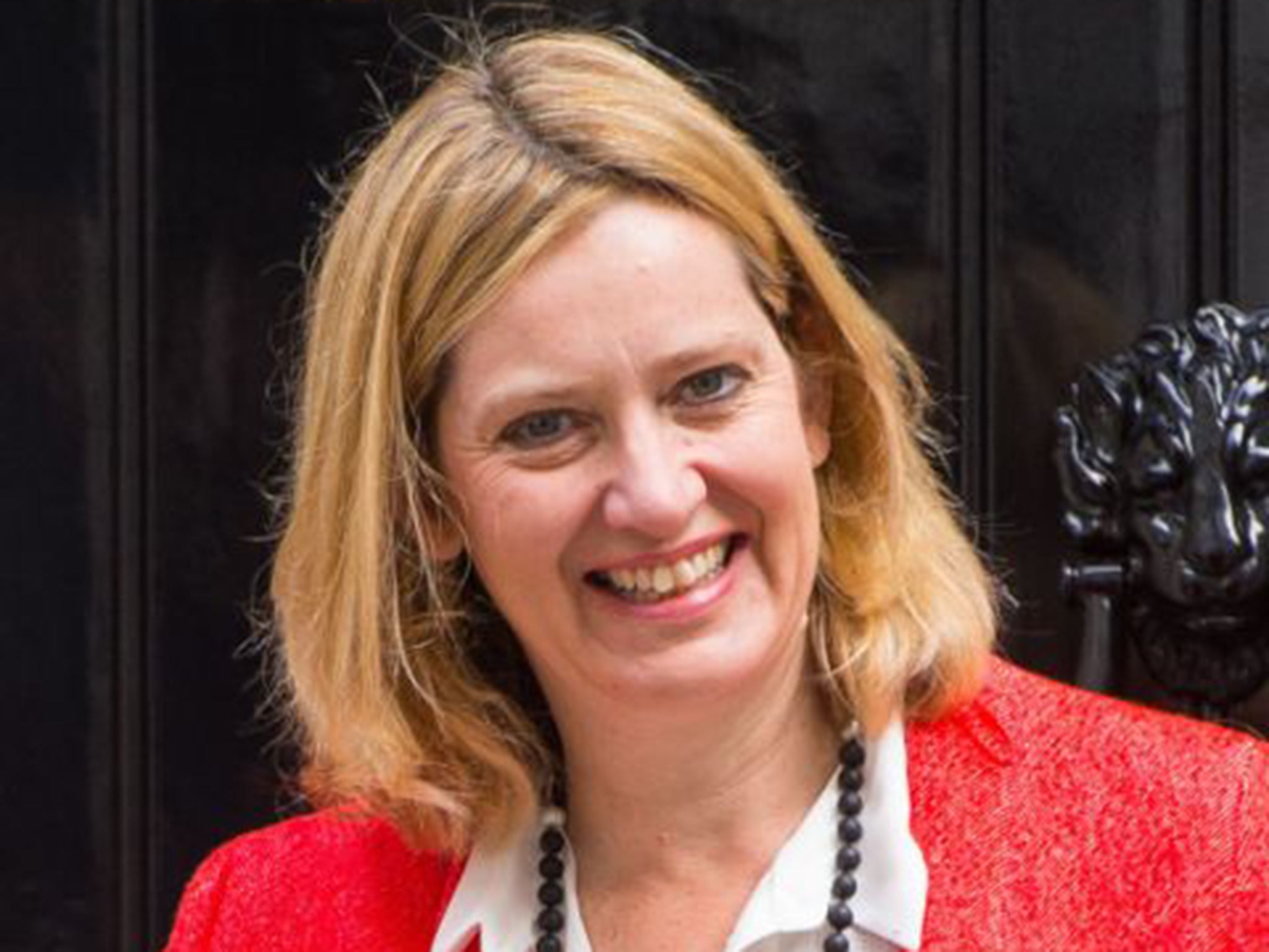 Amber Rudd, the Energy Secretary, announced the end to the subsidies
