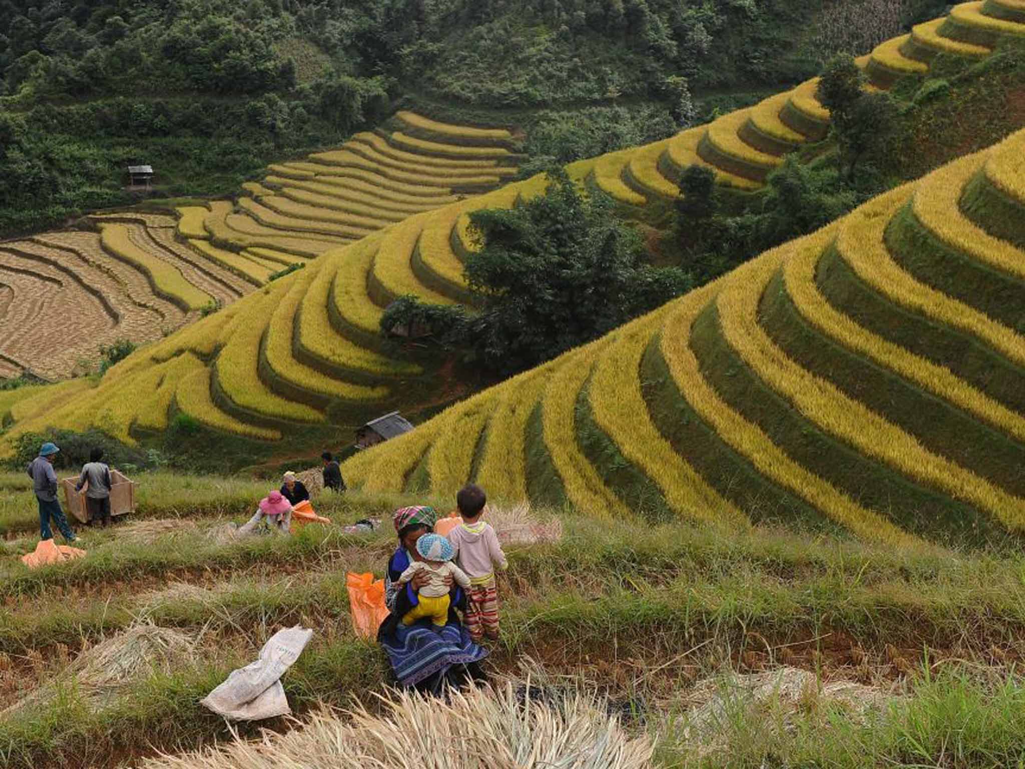 Sighted travellers can act as 'eyes' by describing scenes such as the mountains of Vietnam