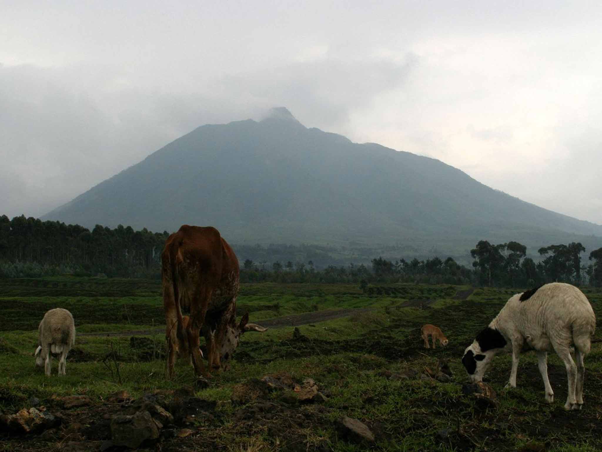 Mount Karisimbi