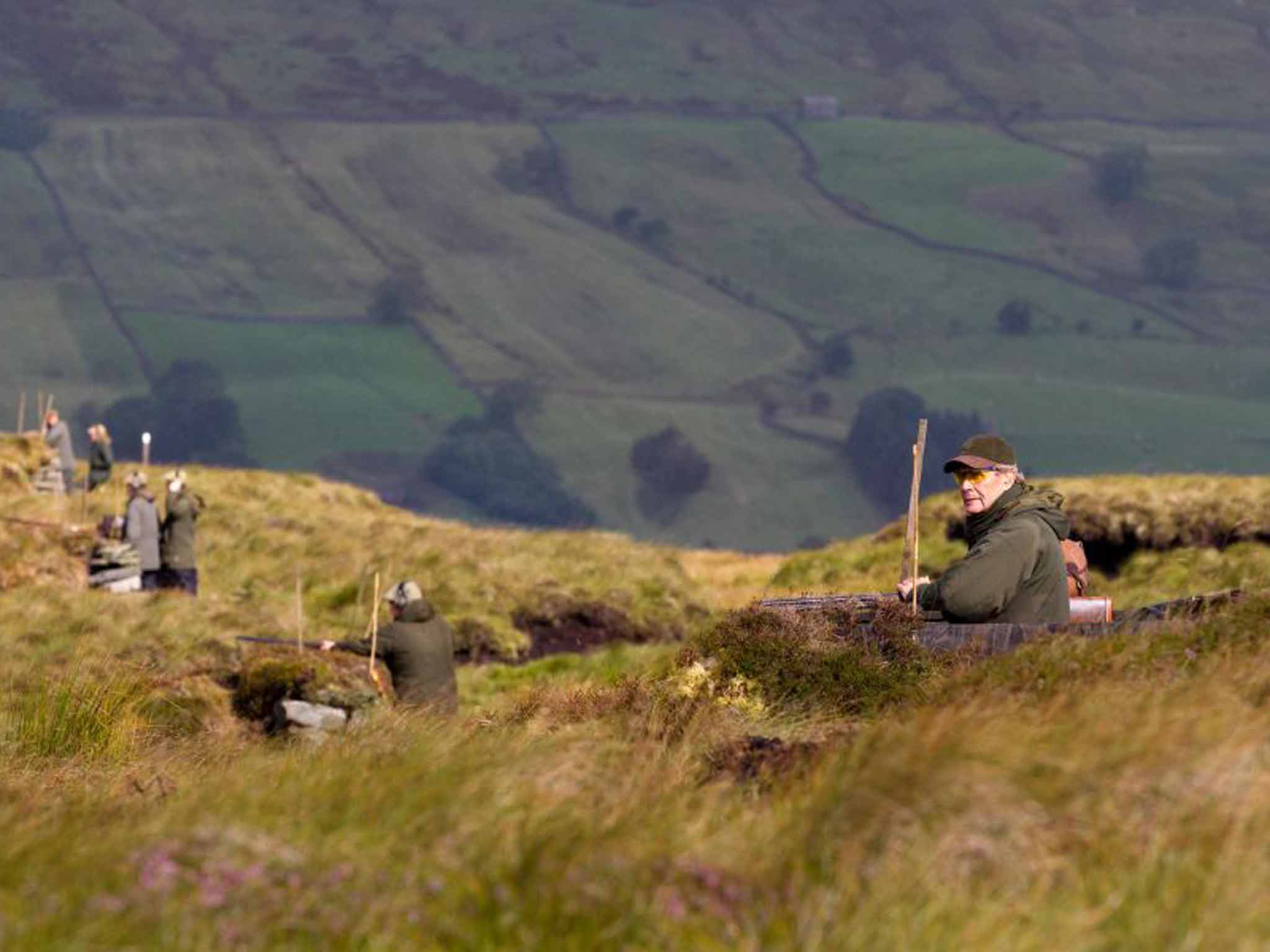 Those who do it describe driven grouse shooting as one of the greatest thrills available