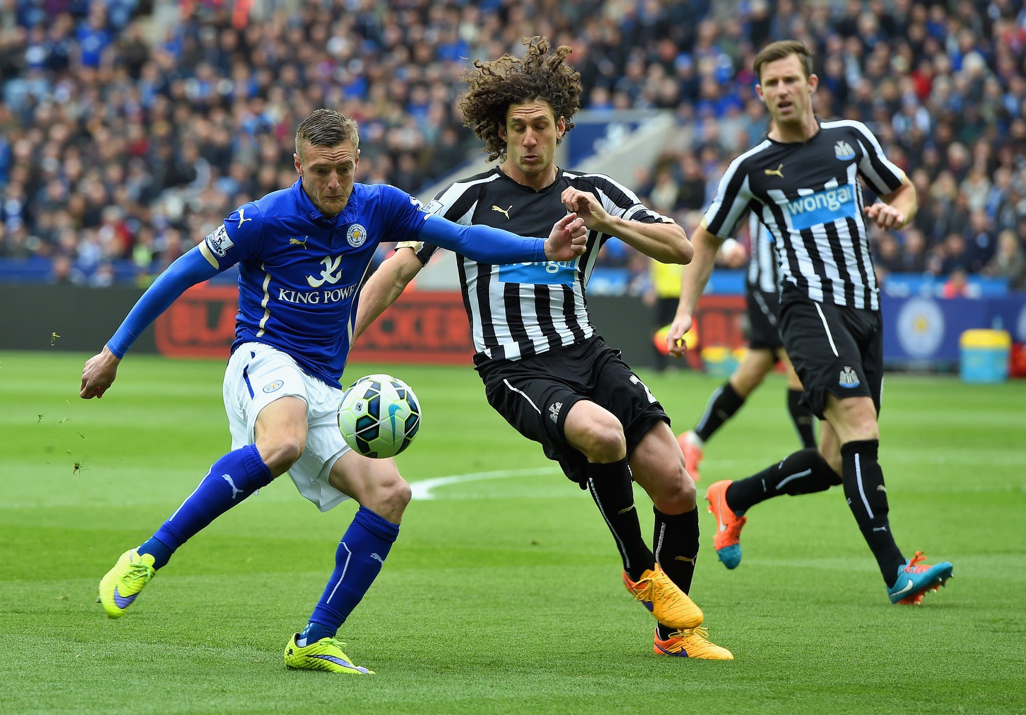 Fabricio Coloccini in action for Newcastle last season