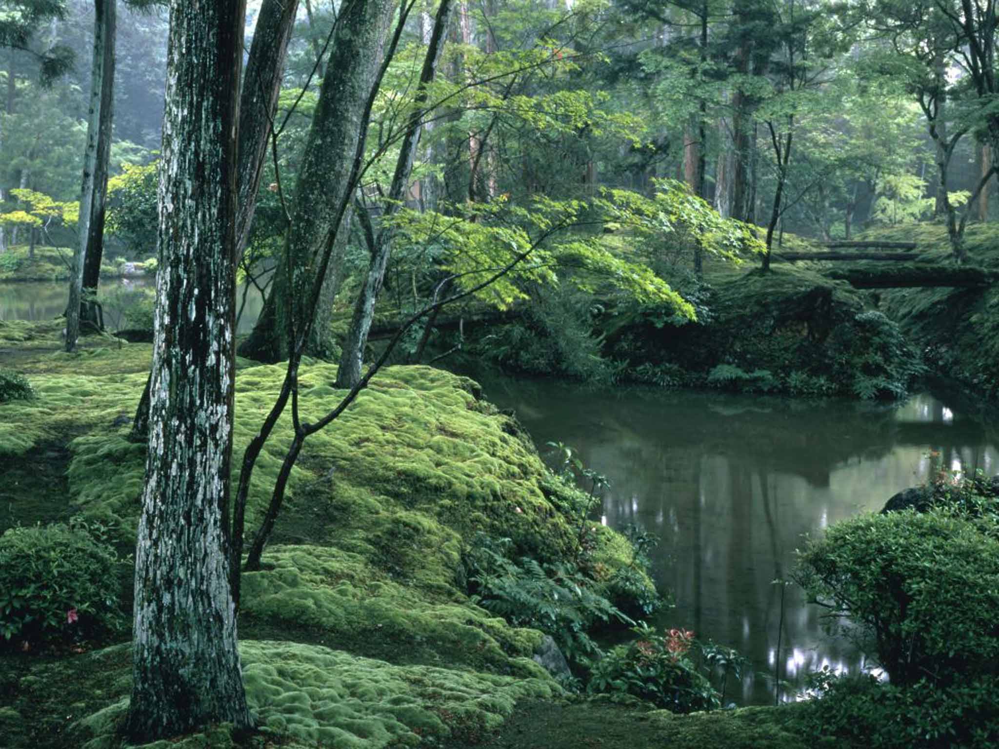 Cultural: £3,299, Virgin Holidays