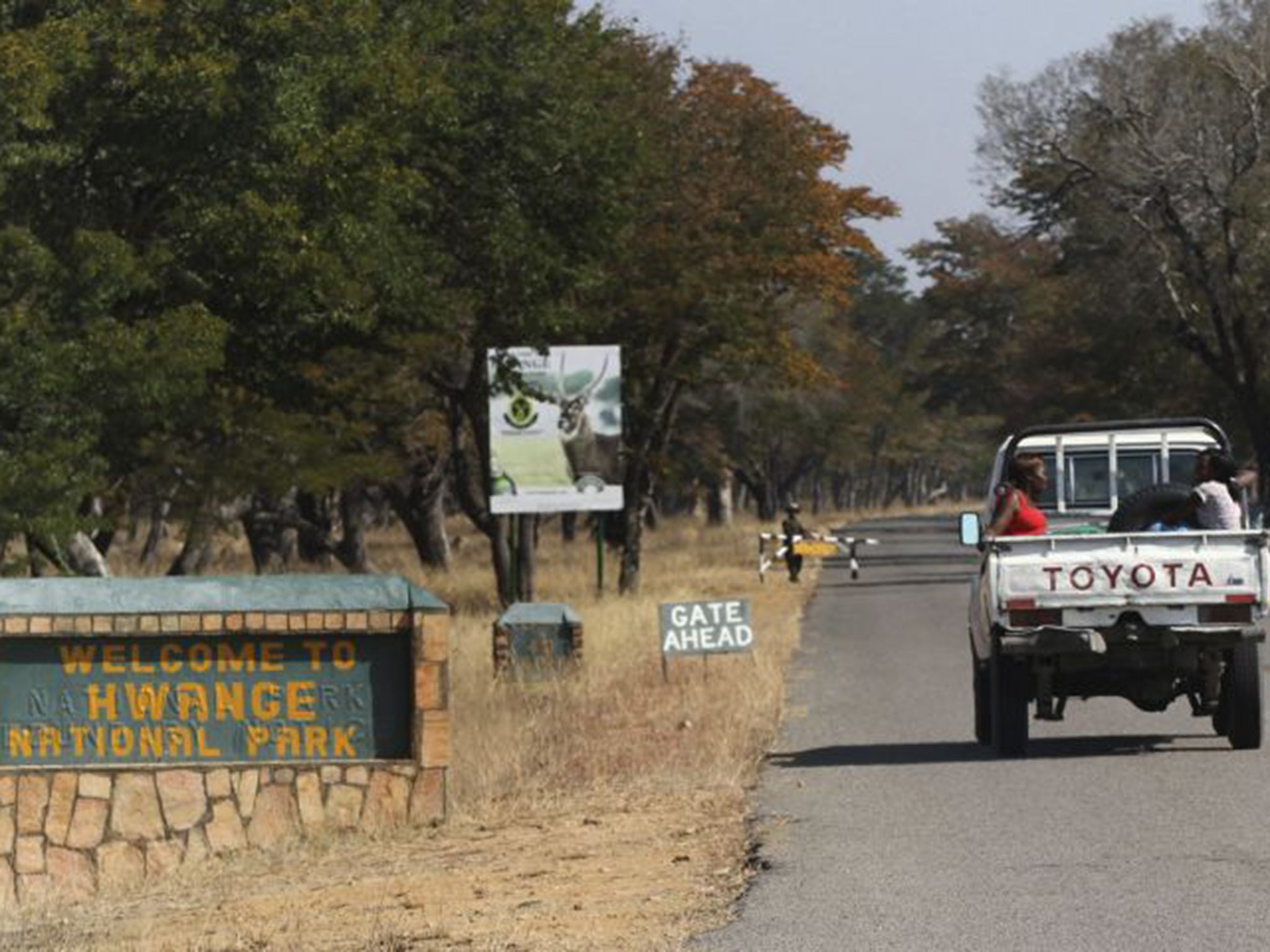 It is claimed that a second lion killing took place in the region of the Hwange National Park, three months before the Minnesota dentist Walter Palmer killed Cecil in the same area