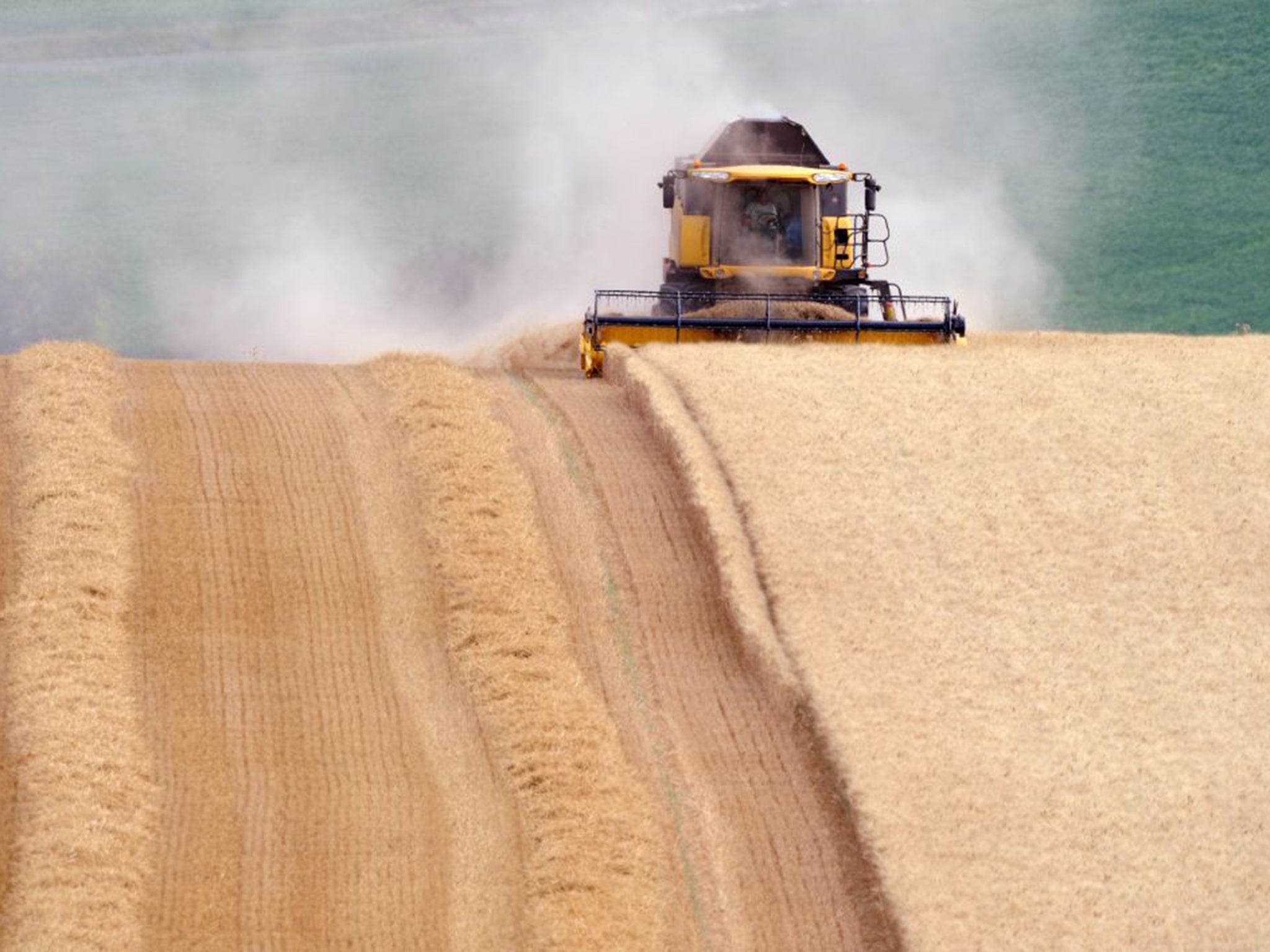 Gene drives could reverse the inevitable genetic mutations that make crop pests resistant to pesticides