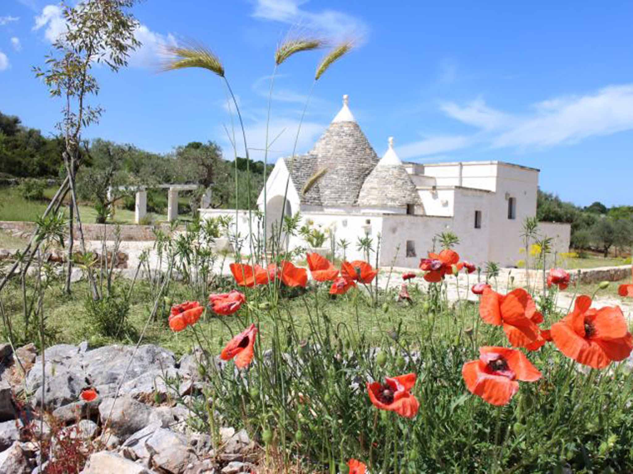 The seclusion of Trullo Terrabronzata